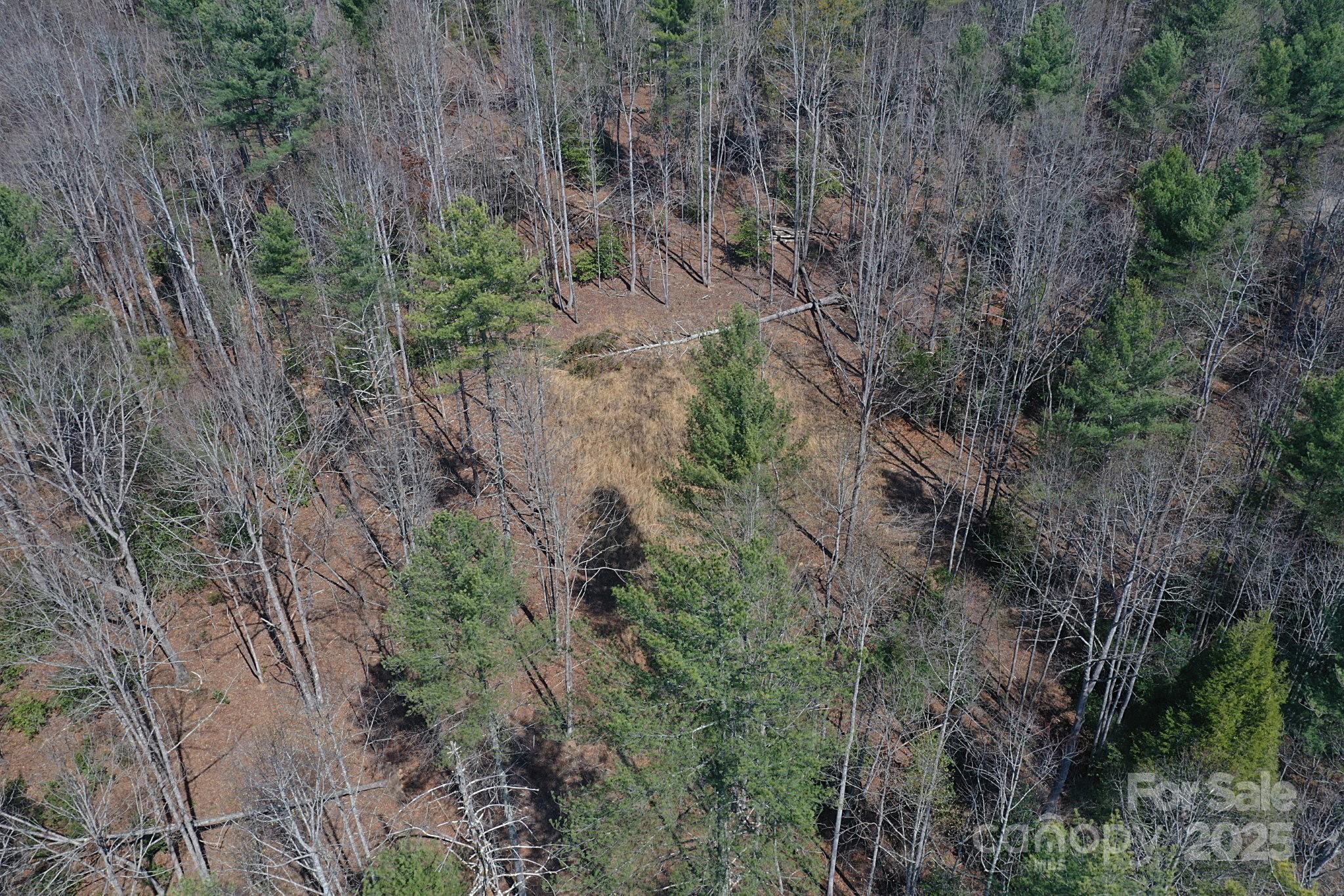 3630 Pitts Farm Drive Property Photo 10