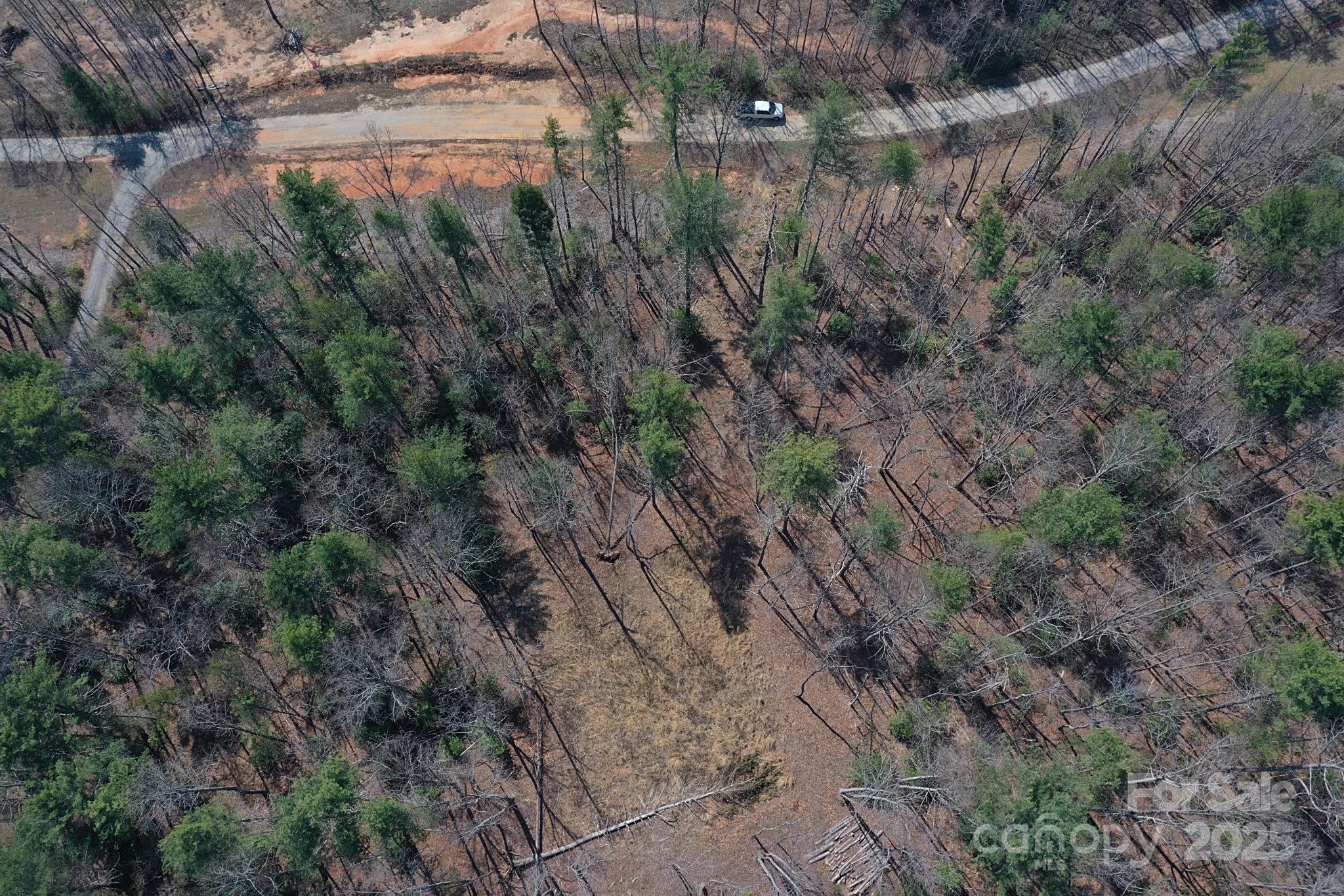 3630 Pitts Farm Drive Property Photo 14