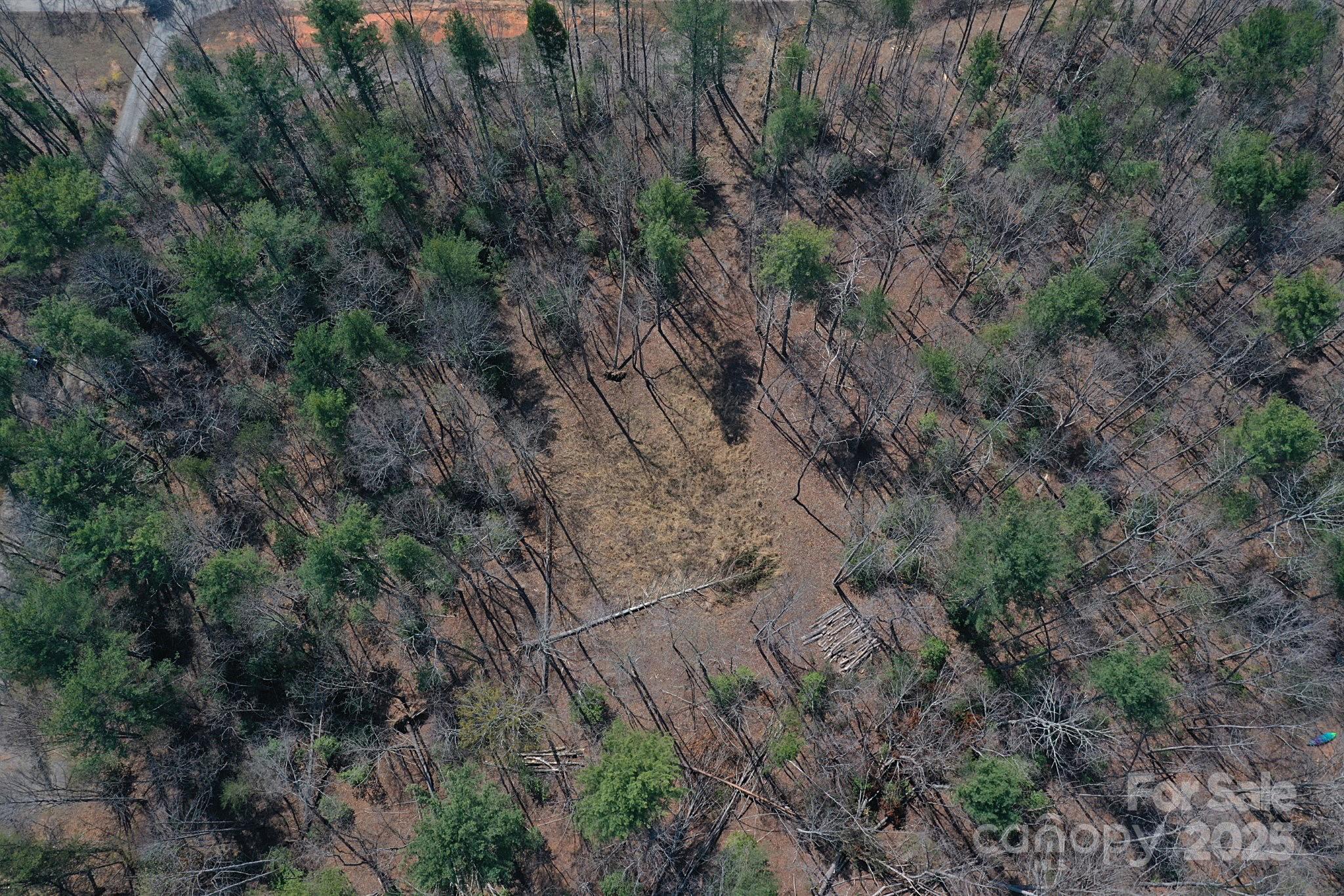 3630 Pitts Farm Drive Property Photo 16