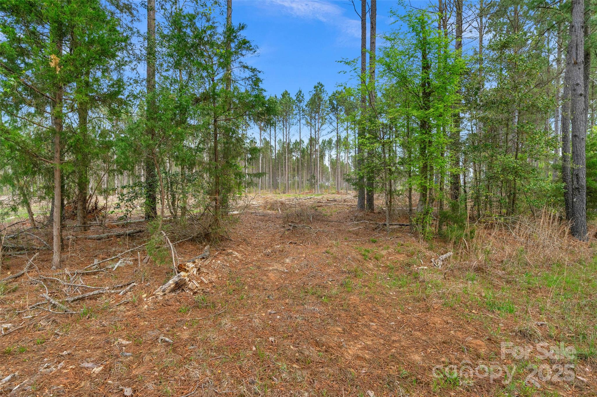 0 Old Nunnery Farm Road 1 Property Photo 17