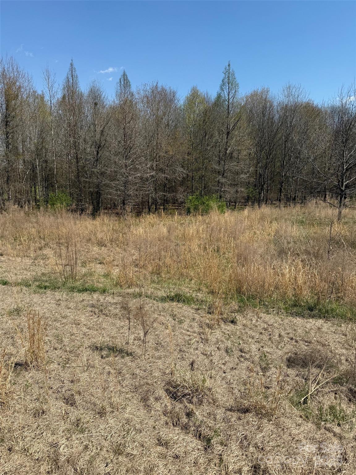 52 Mcmillian Road Property Photo 4
