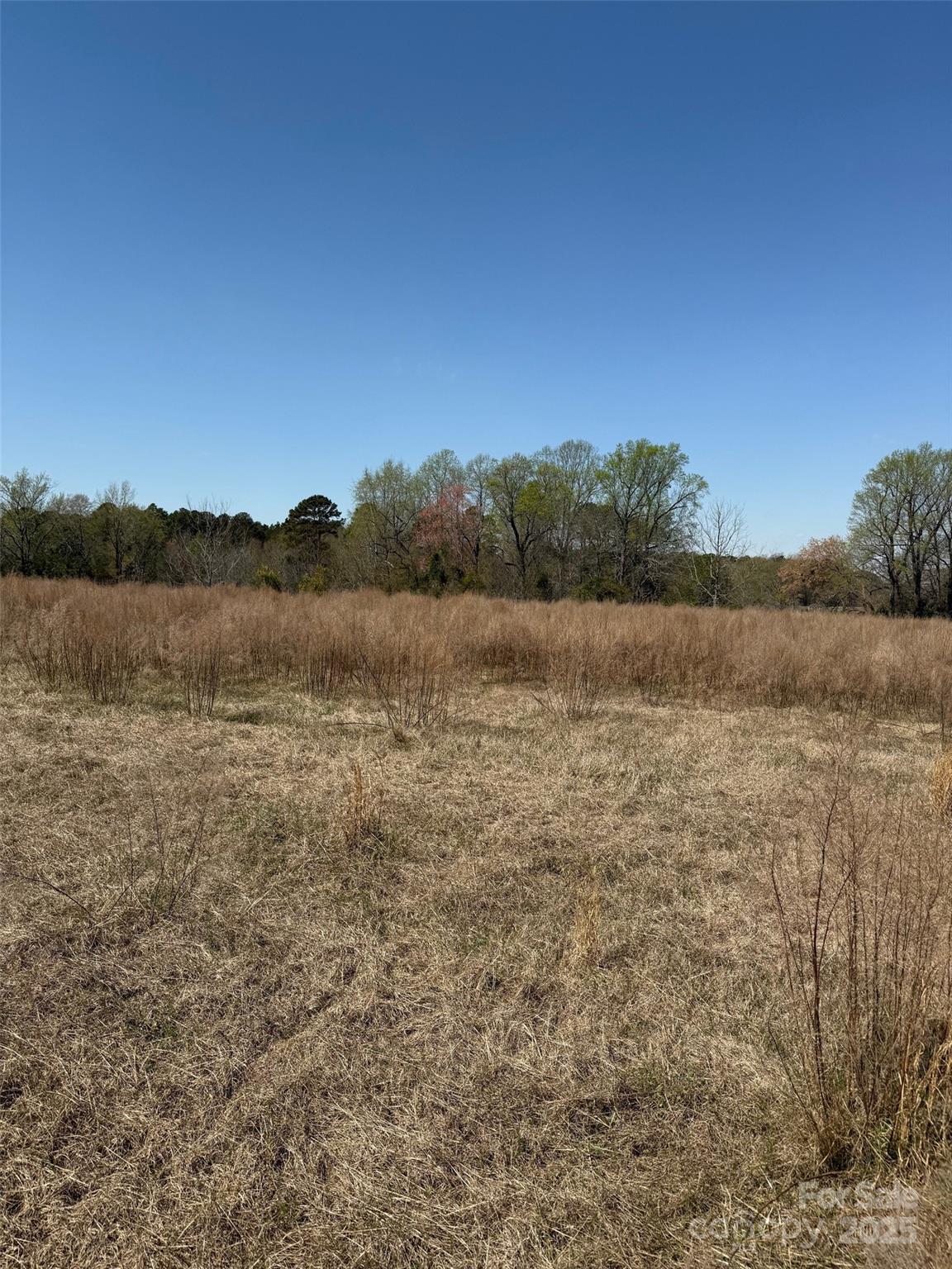 52 Mcmillian Road Property Photo 5
