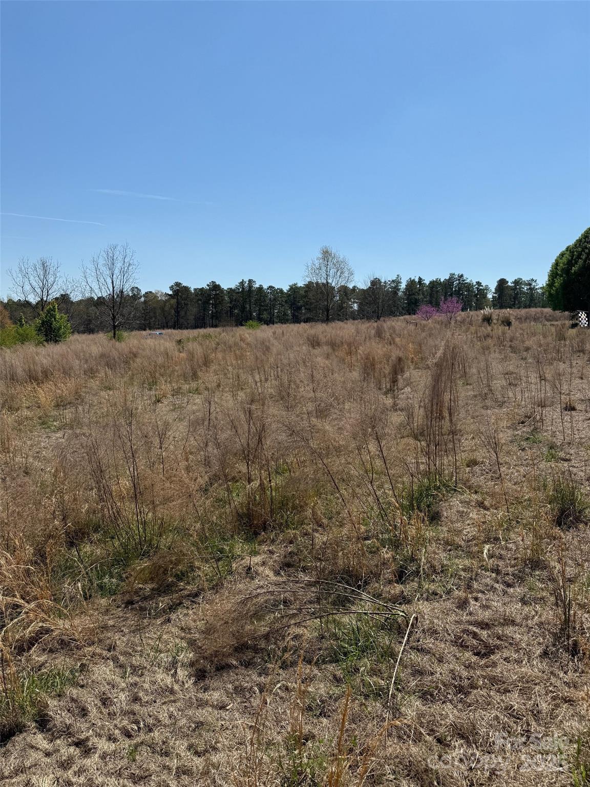 52 Mcmillian Road Property Photo 7