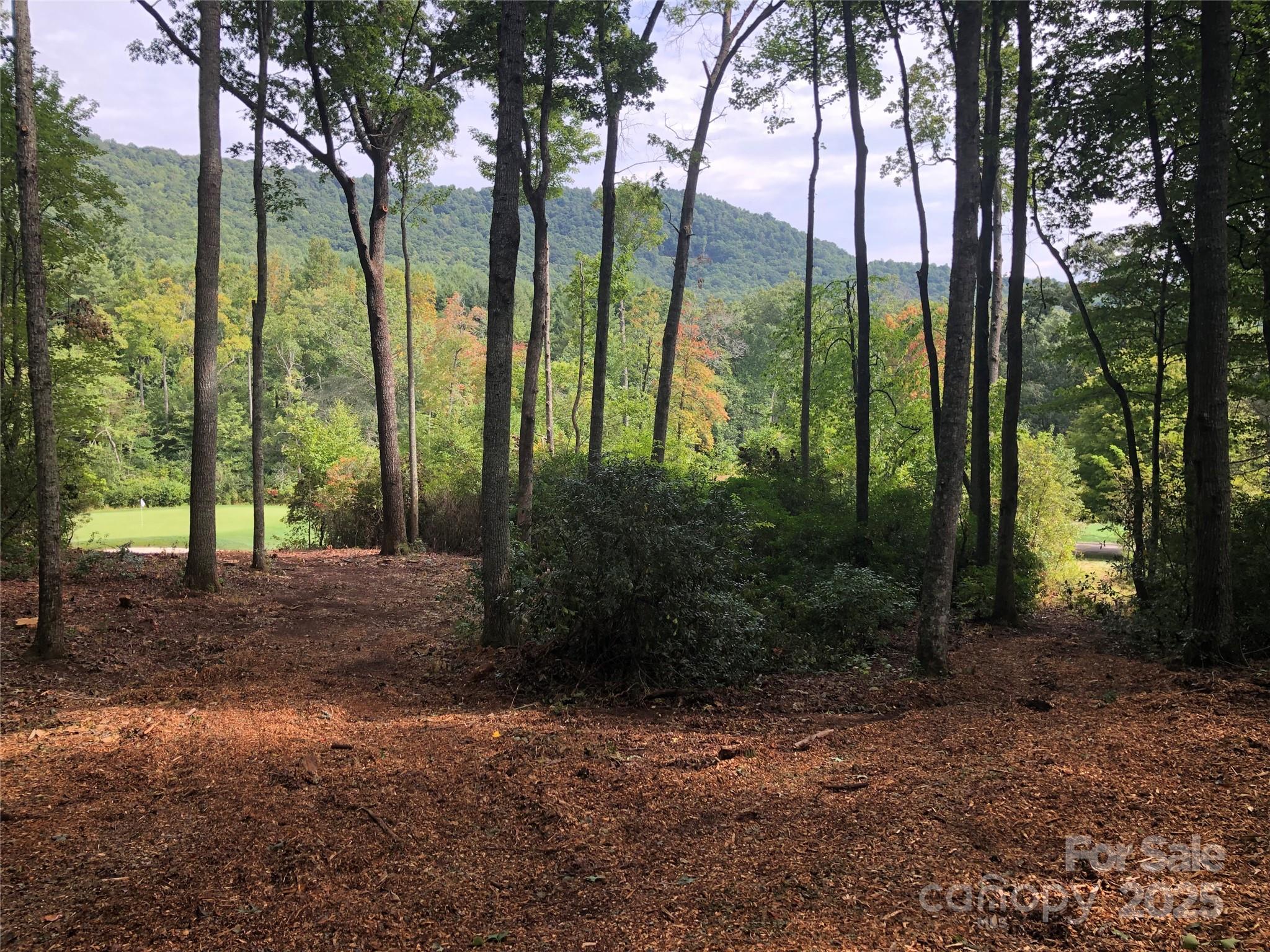 1304 Fawn Meadow Way Property Photo 3