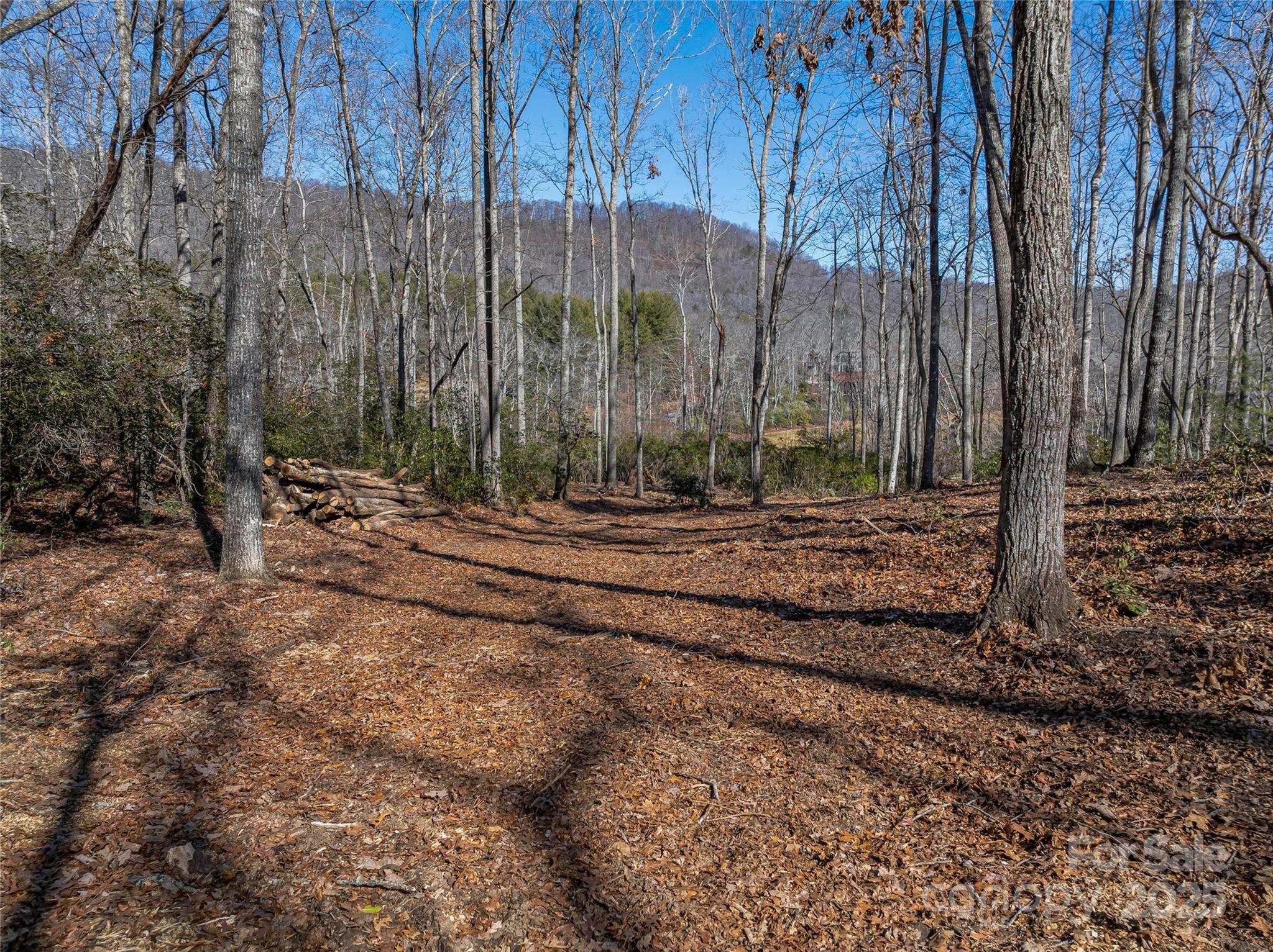 1304 Fawn Meadow Way Property Photo 4
