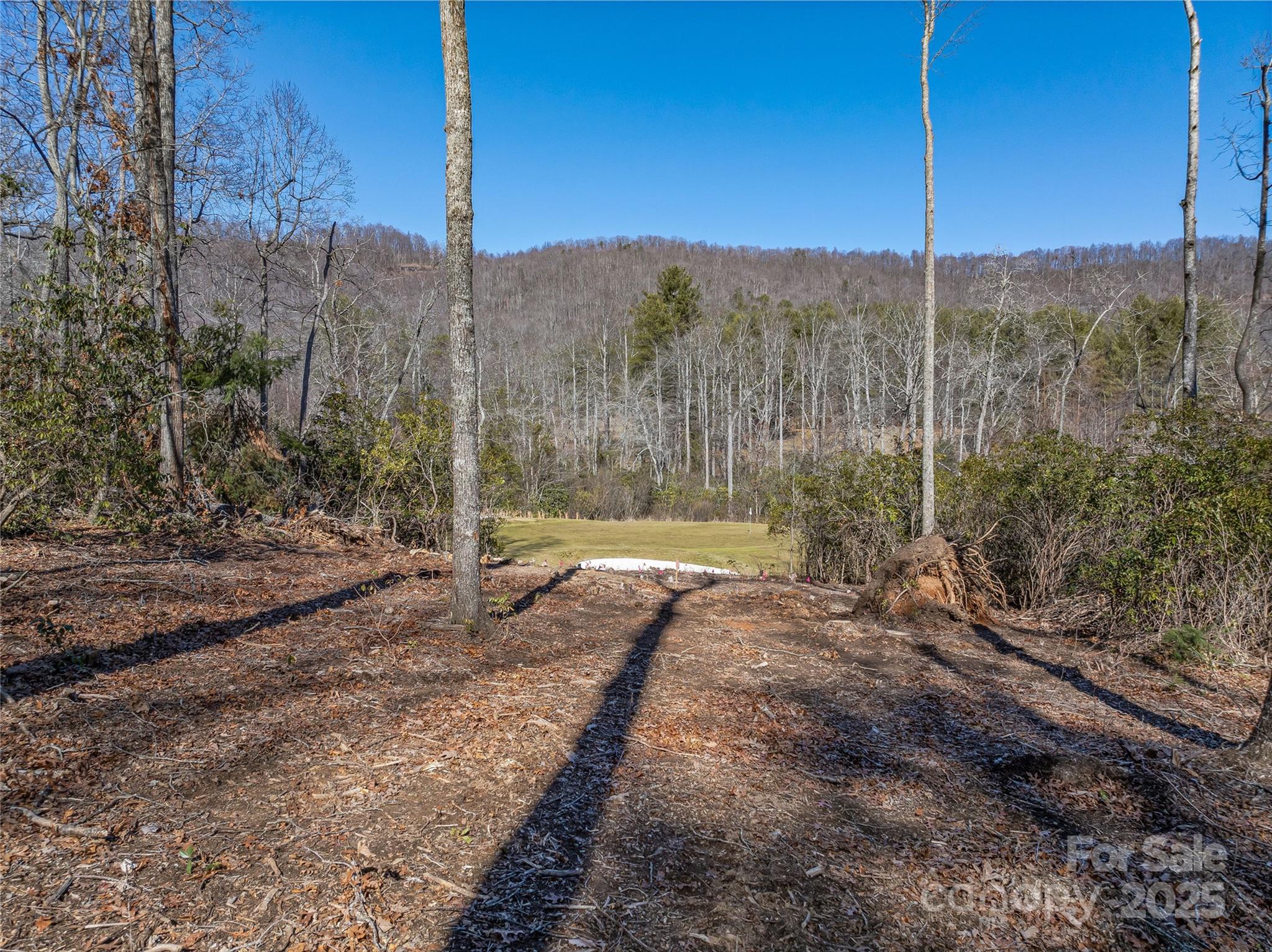 1304 Fawn Meadow Way Property Photo 6