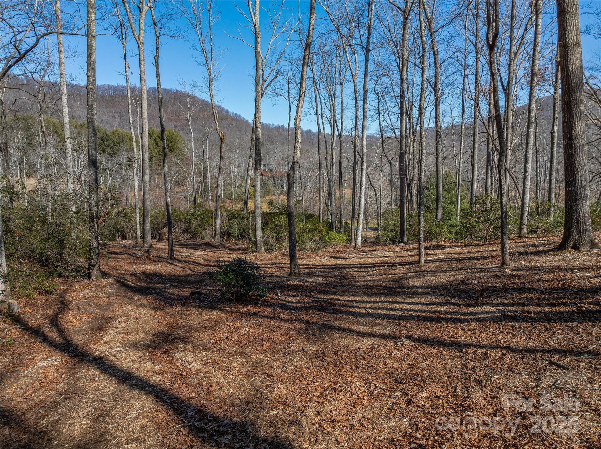 1304 Fawn Meadow Way Property Photo 17