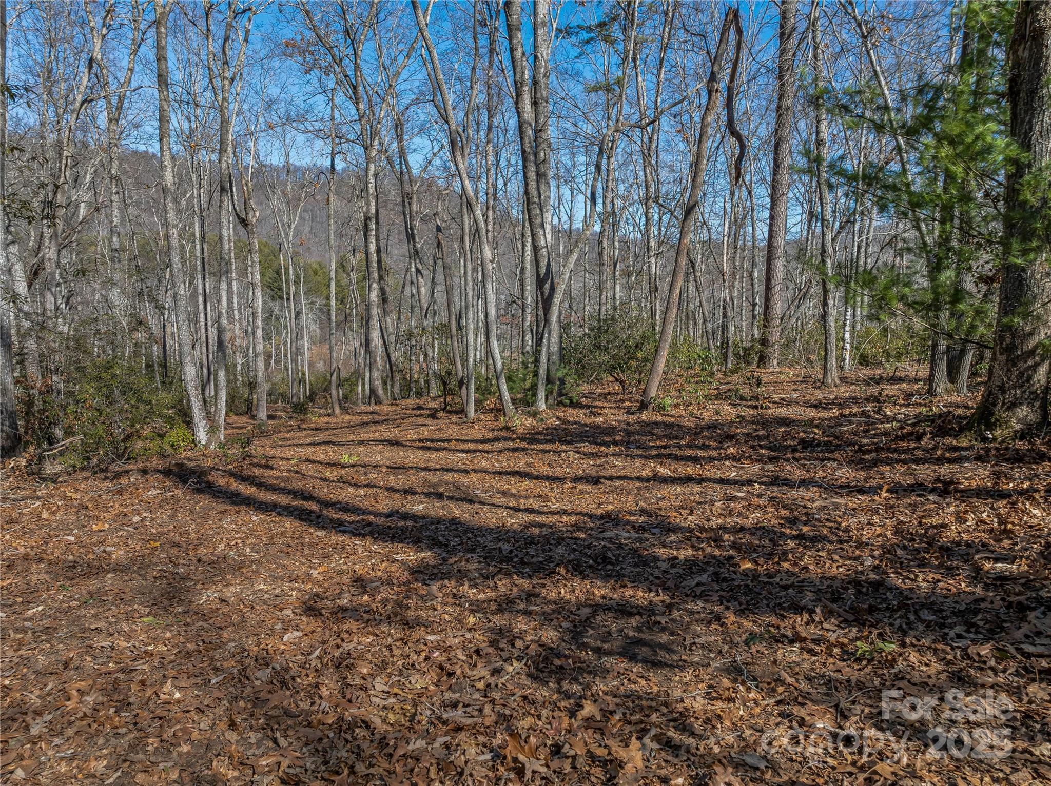 1304 Fawn Meadow Way Property Photo 18