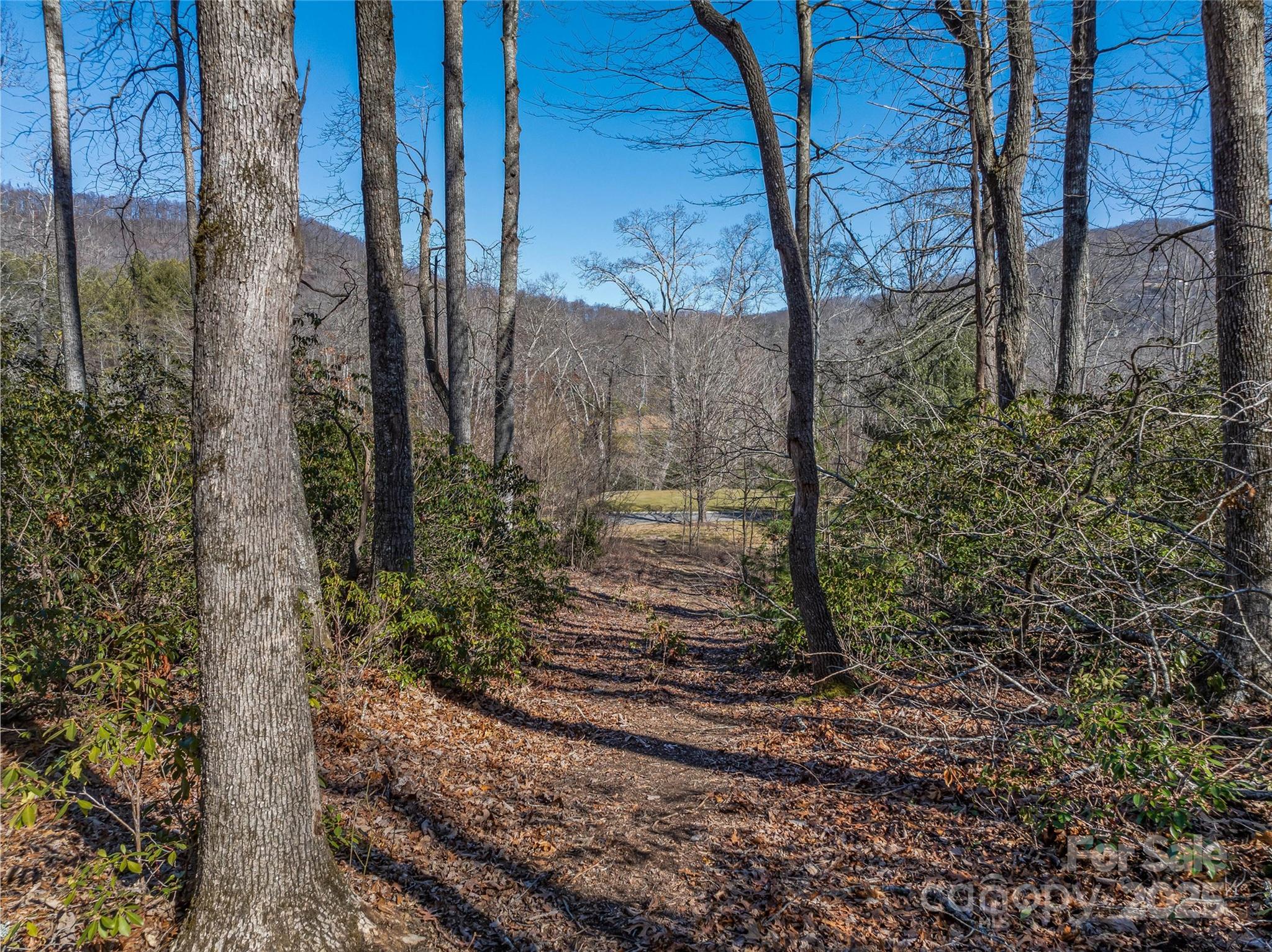 1304 Fawn Meadow Way Property Photo 19