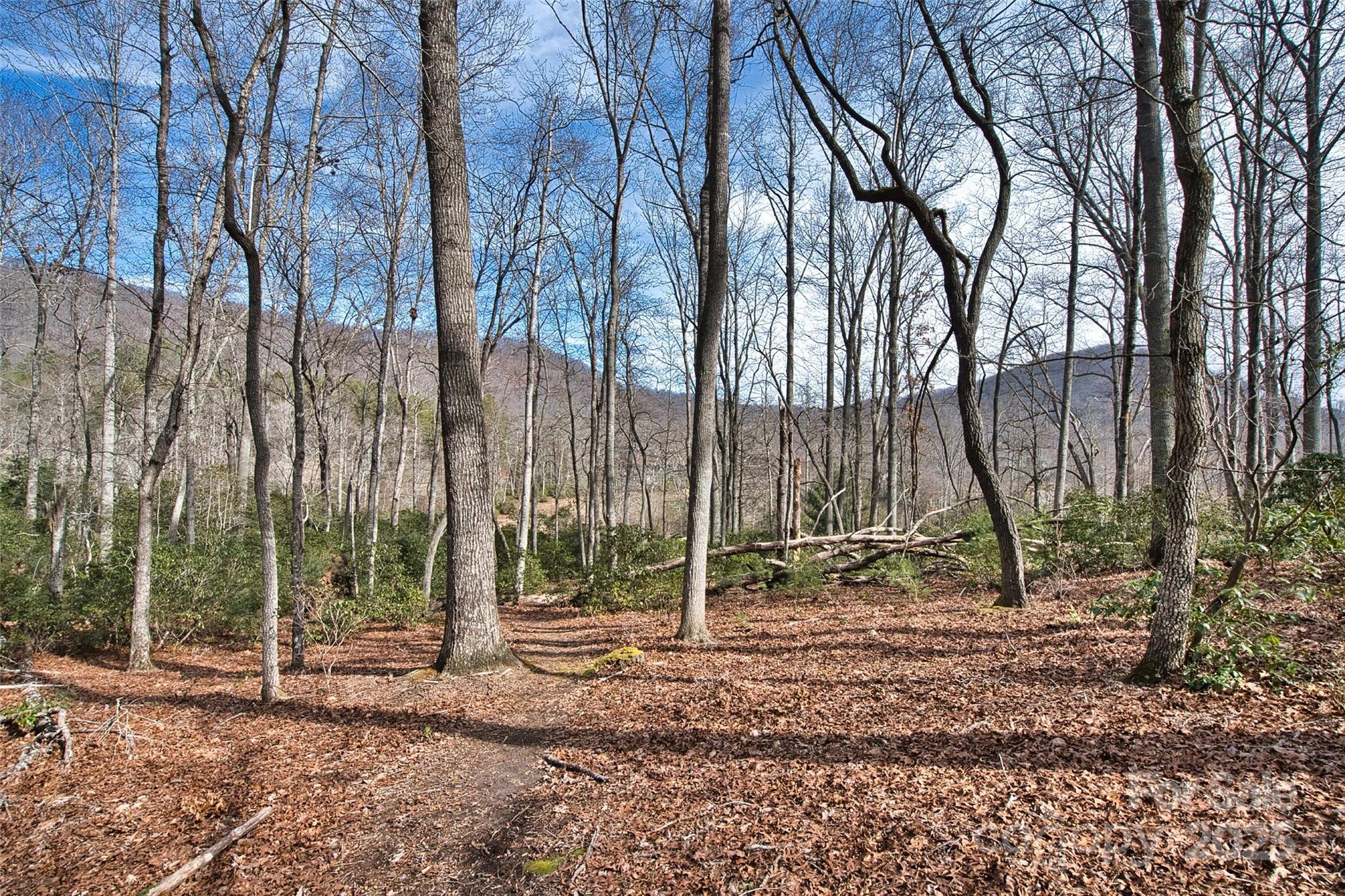 1304 Fawn Meadow Way Property Photo 27