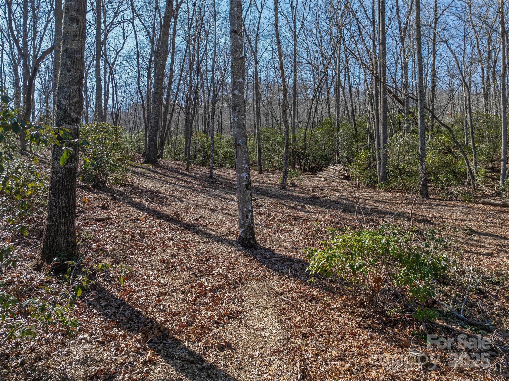 1304 Fawn Meadow Way Property Photo 32