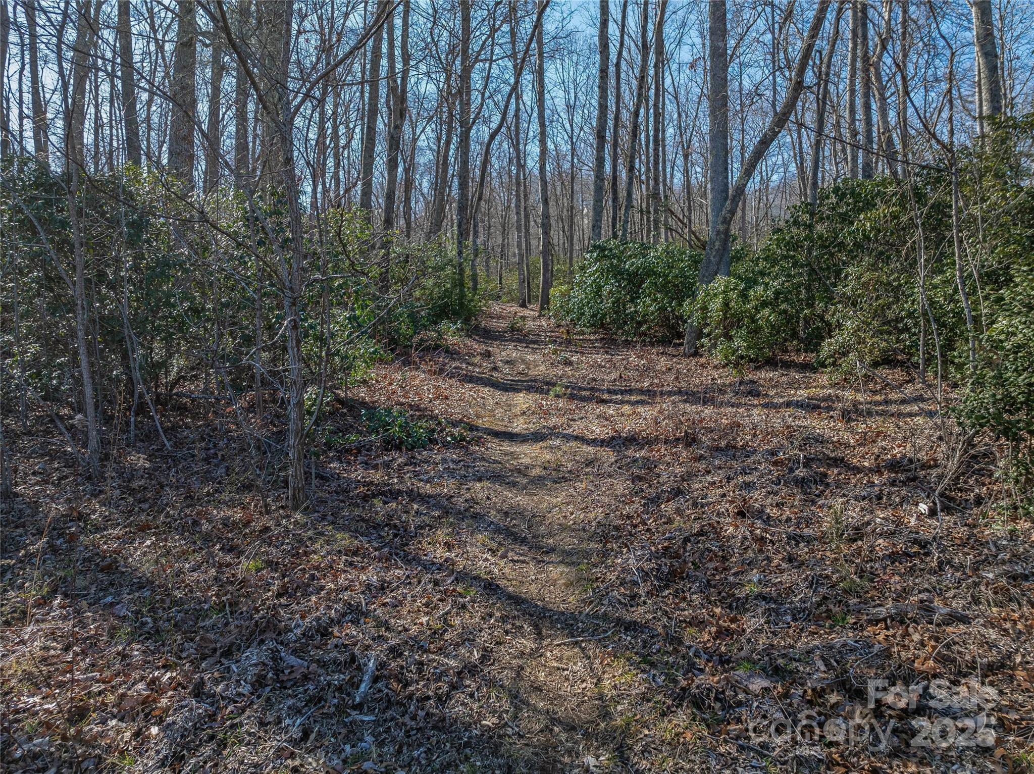 1304 Fawn Meadow Way Property Photo 38