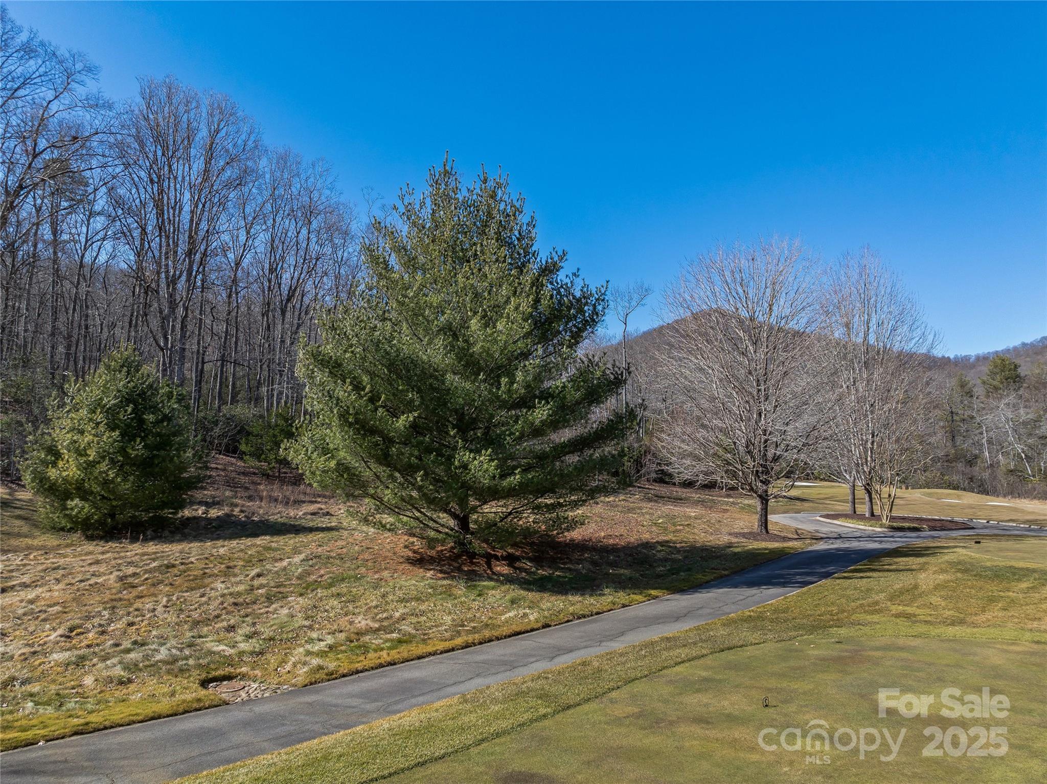 1304 Fawn Meadow Way Property Photo 39