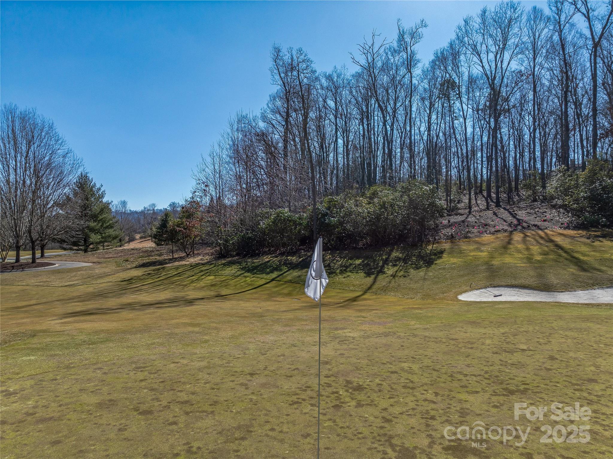 1304 Fawn Meadow Way Property Photo 41