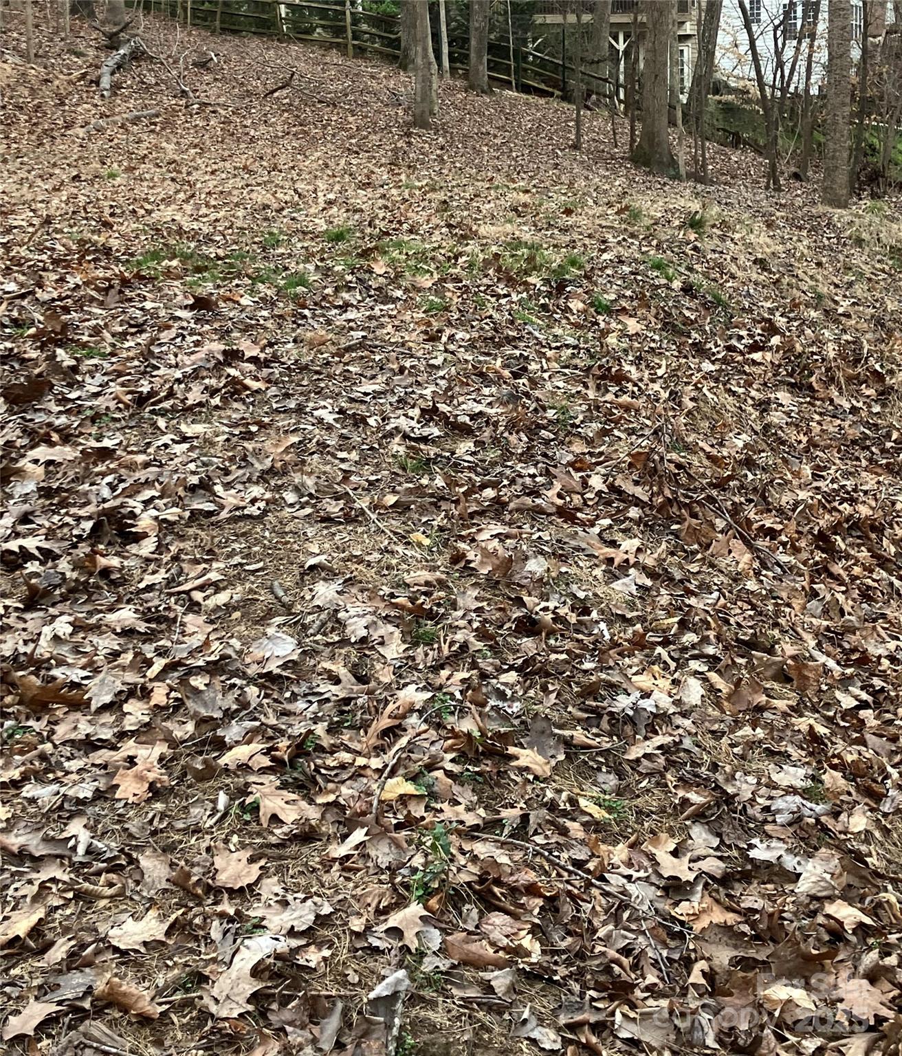 521 Wilby Drive Property Photo 4