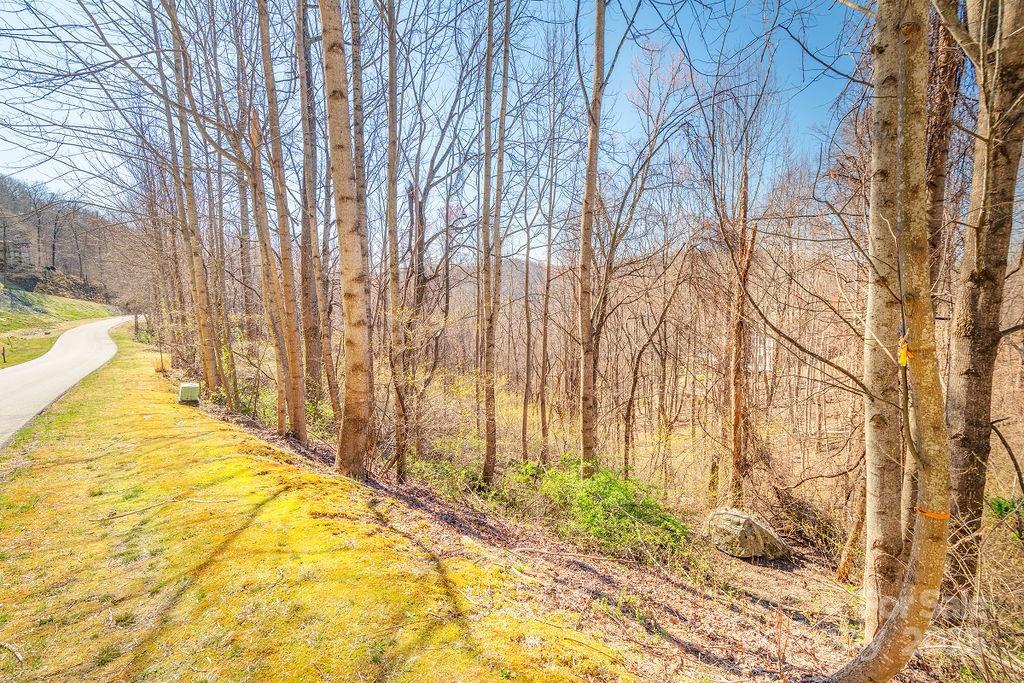 461 Somersby Parkway Property Photo 2