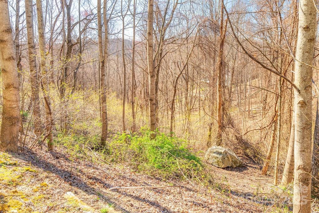 461 Somersby Parkway Property Photo 3