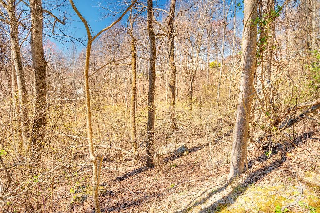 461 Somersby Parkway Property Photo 4