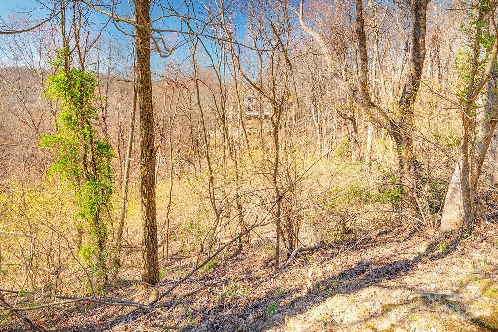 461 Somersby Parkway Property Photo 5