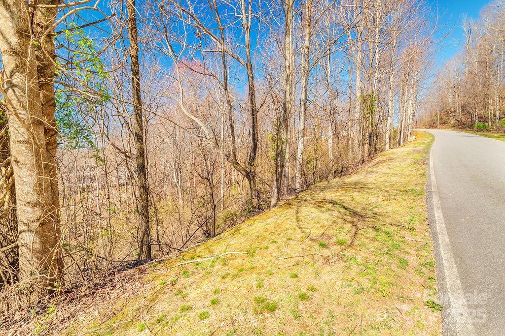 461 Somersby Parkway Property Photo 6