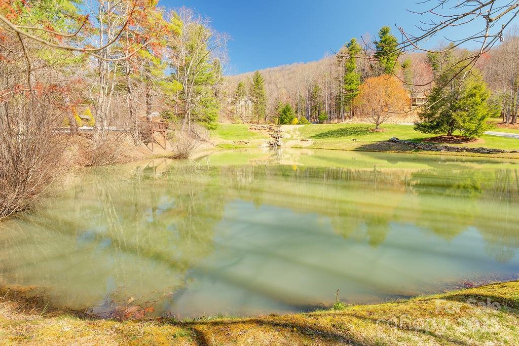 461 Somersby Parkway Property Photo 7