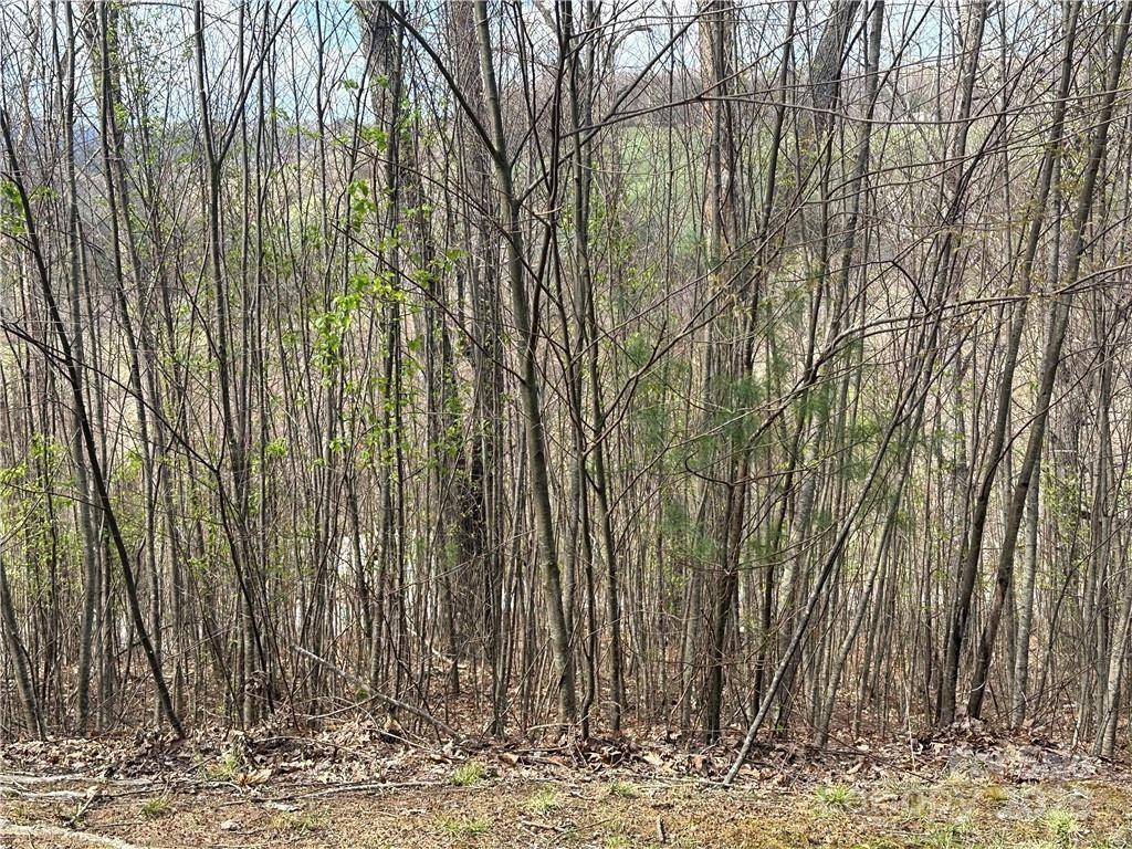 Tbd E Landing Ridge 24 Property Photo 2