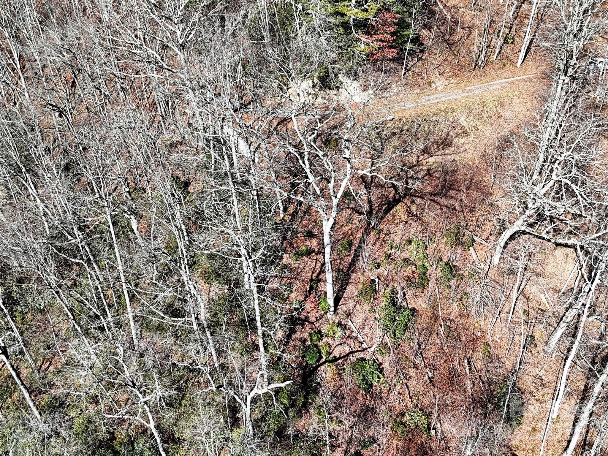 00 Barn Cove Road 61 & 62 Property Photo 6