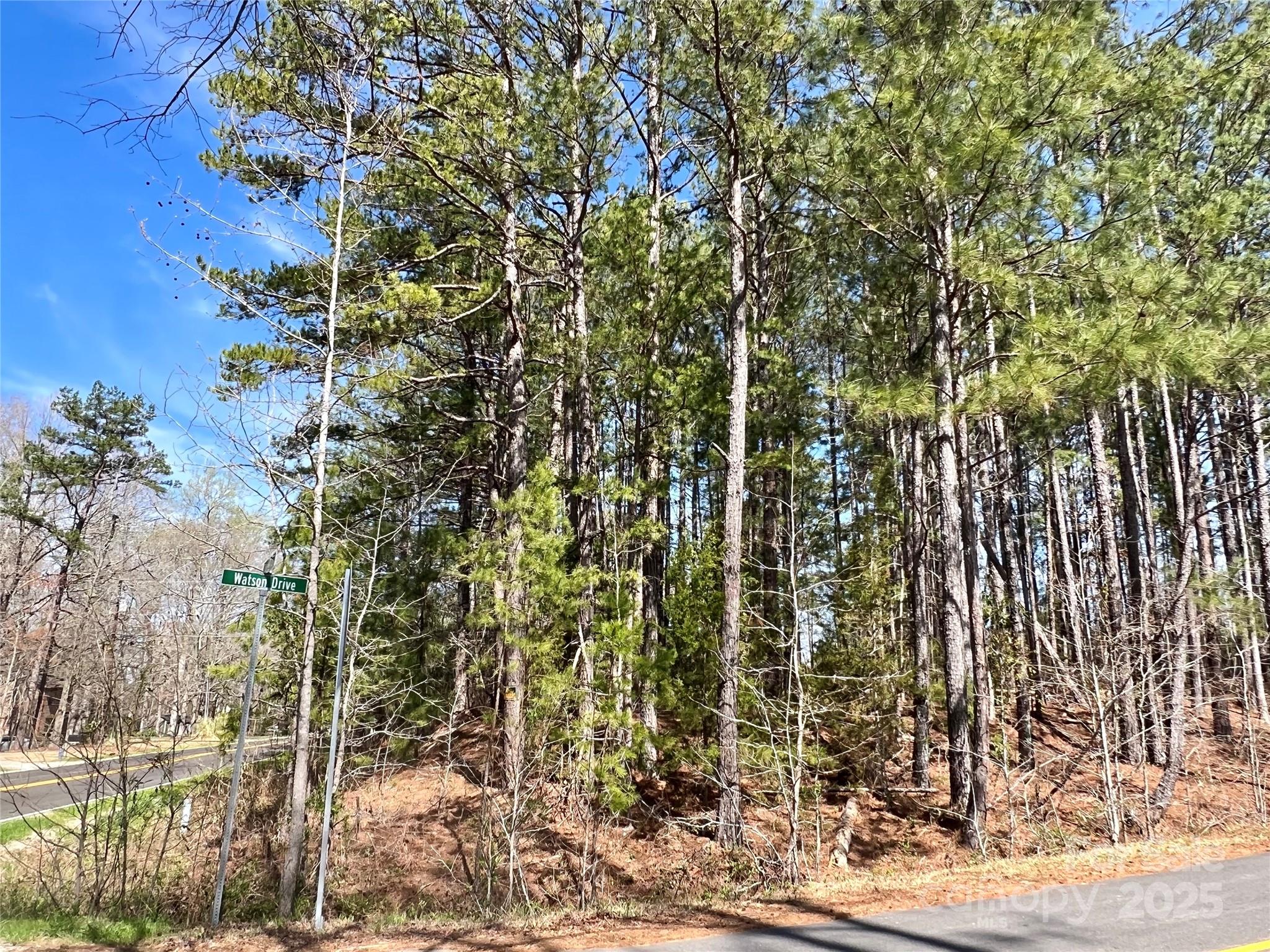 0 Watson Drive Property Photo