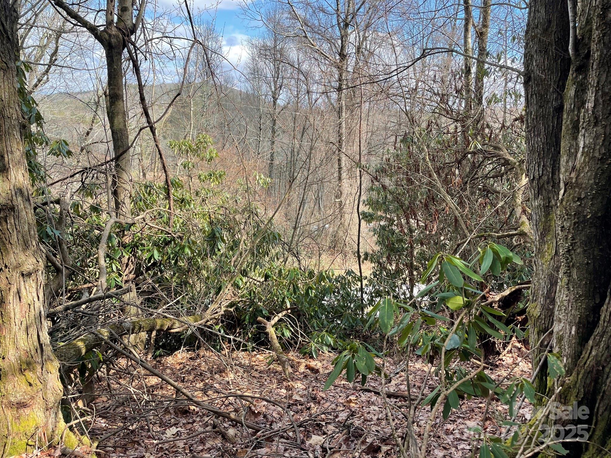 0 Gingercake Road Property Photo 4