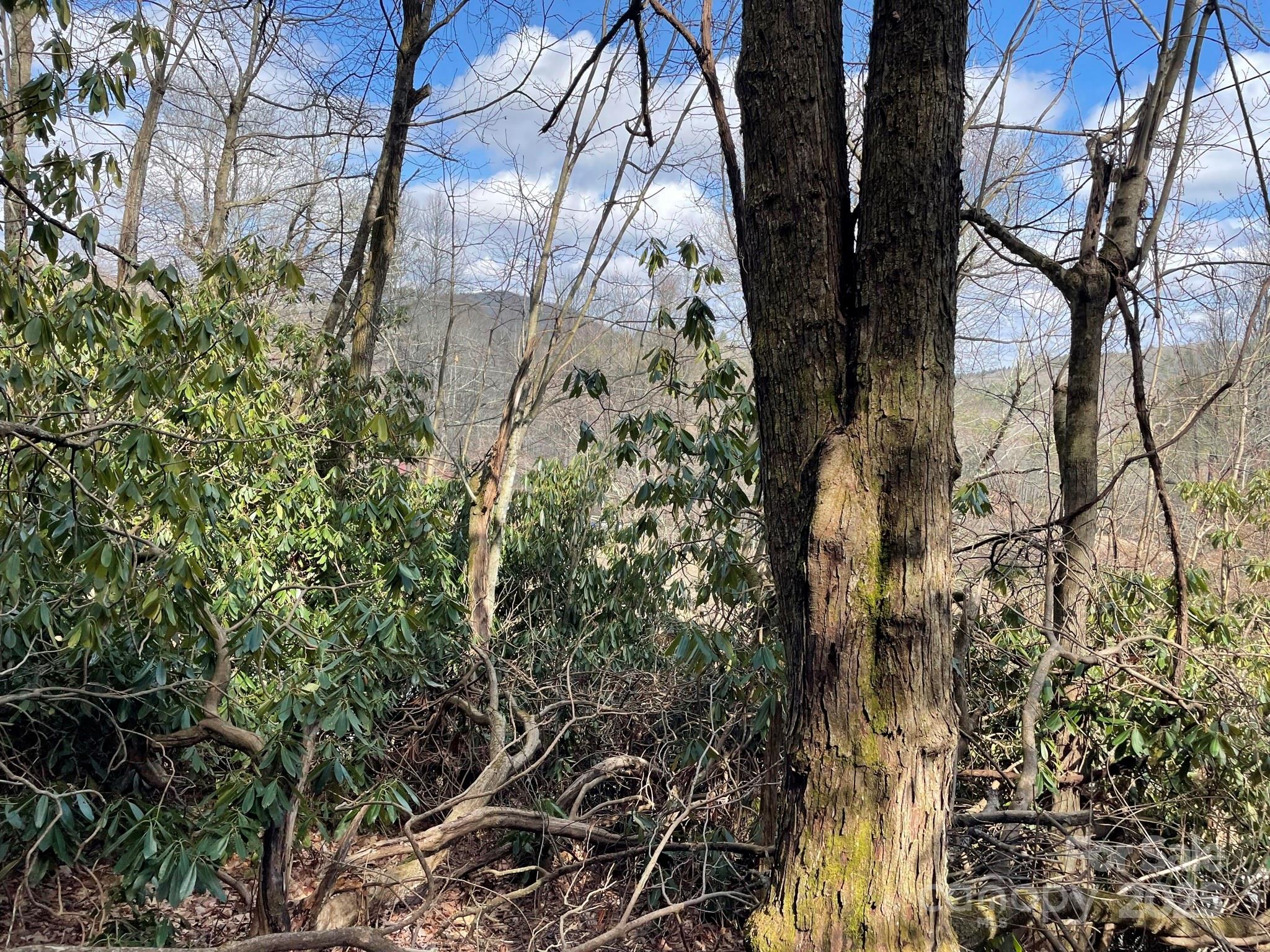 0 Gingercake Road Property Photo 5