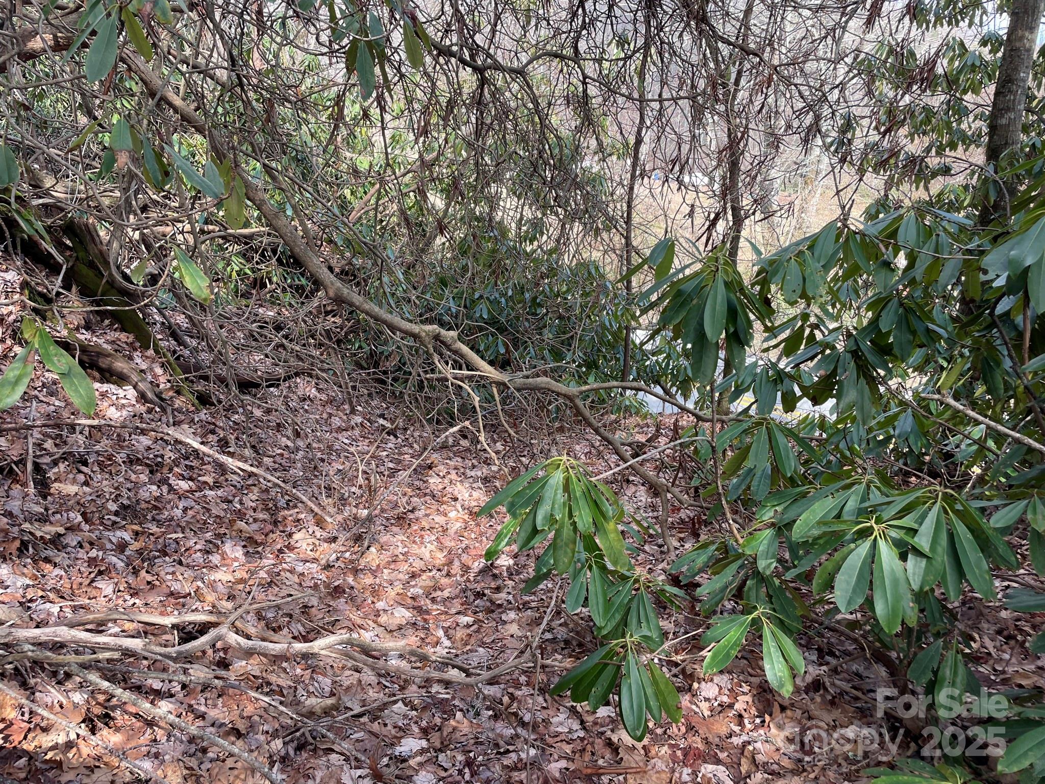 0 Gingercake Road Property Photo 6