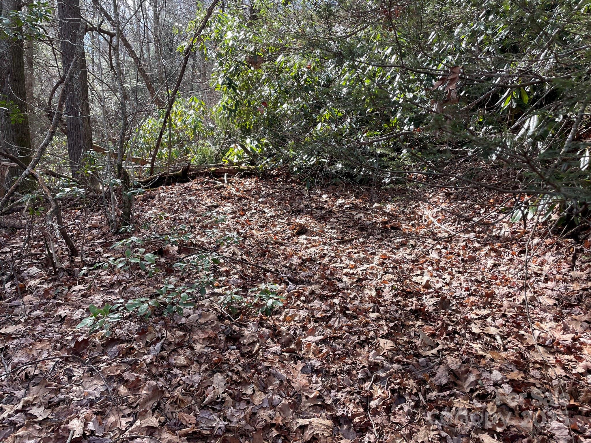 0 Gingercake Road Property Photo 7