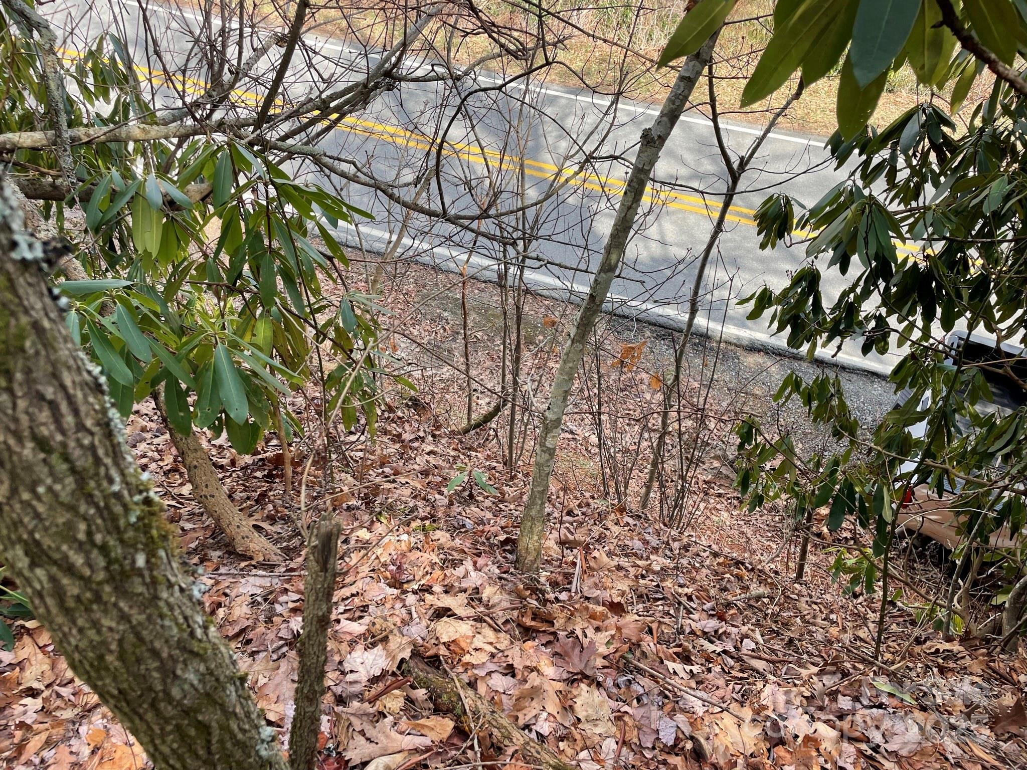 0 Gingercake Road Property Photo 9