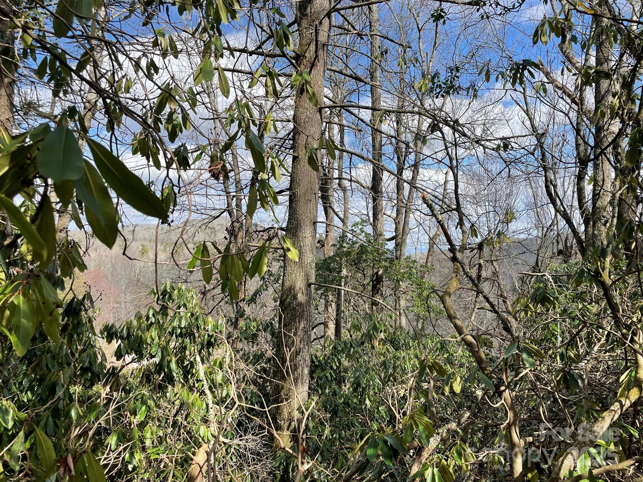 0 Gingercake Road Property Photo 10