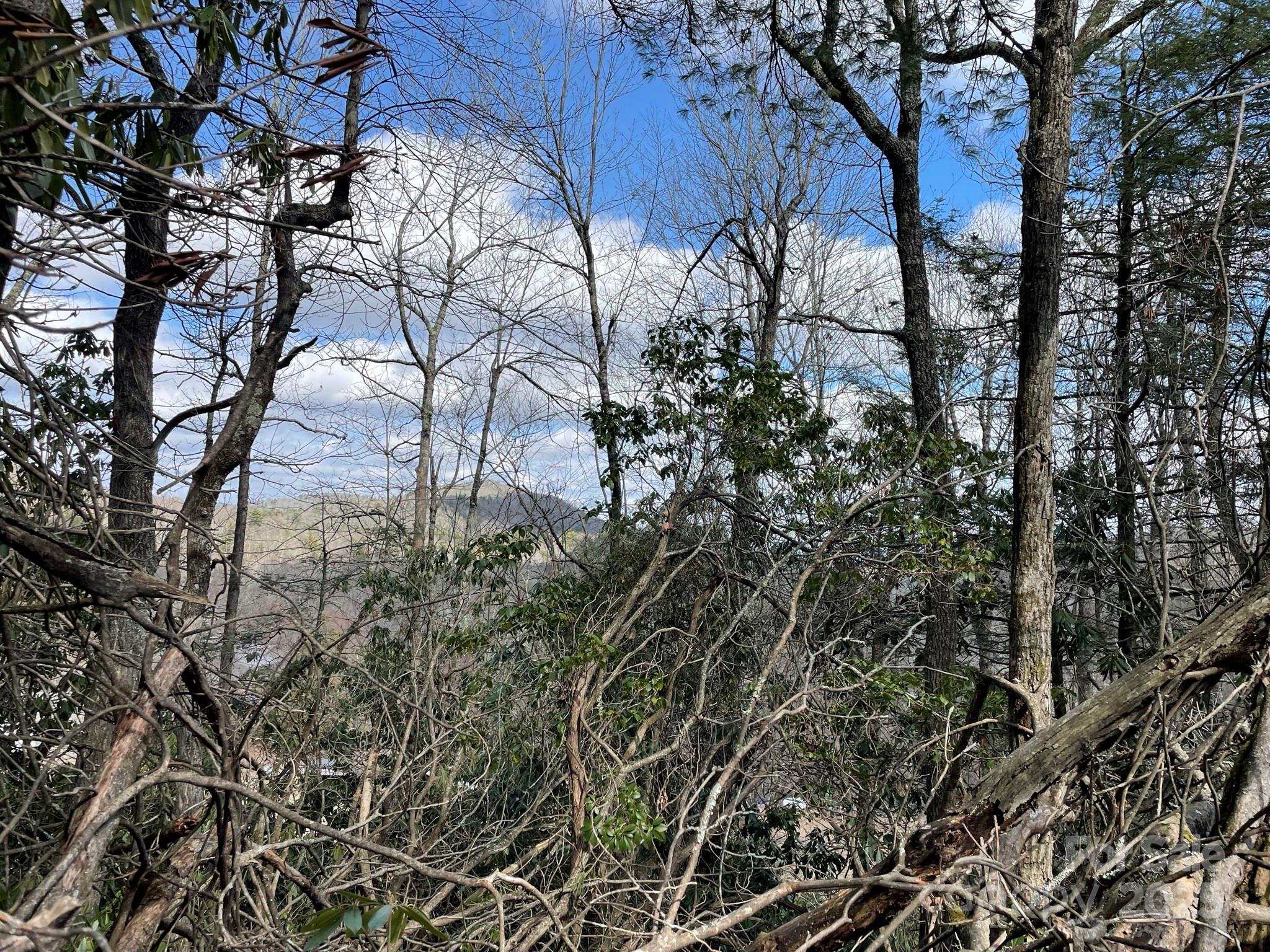 0 Gingercake Road Property Photo 12