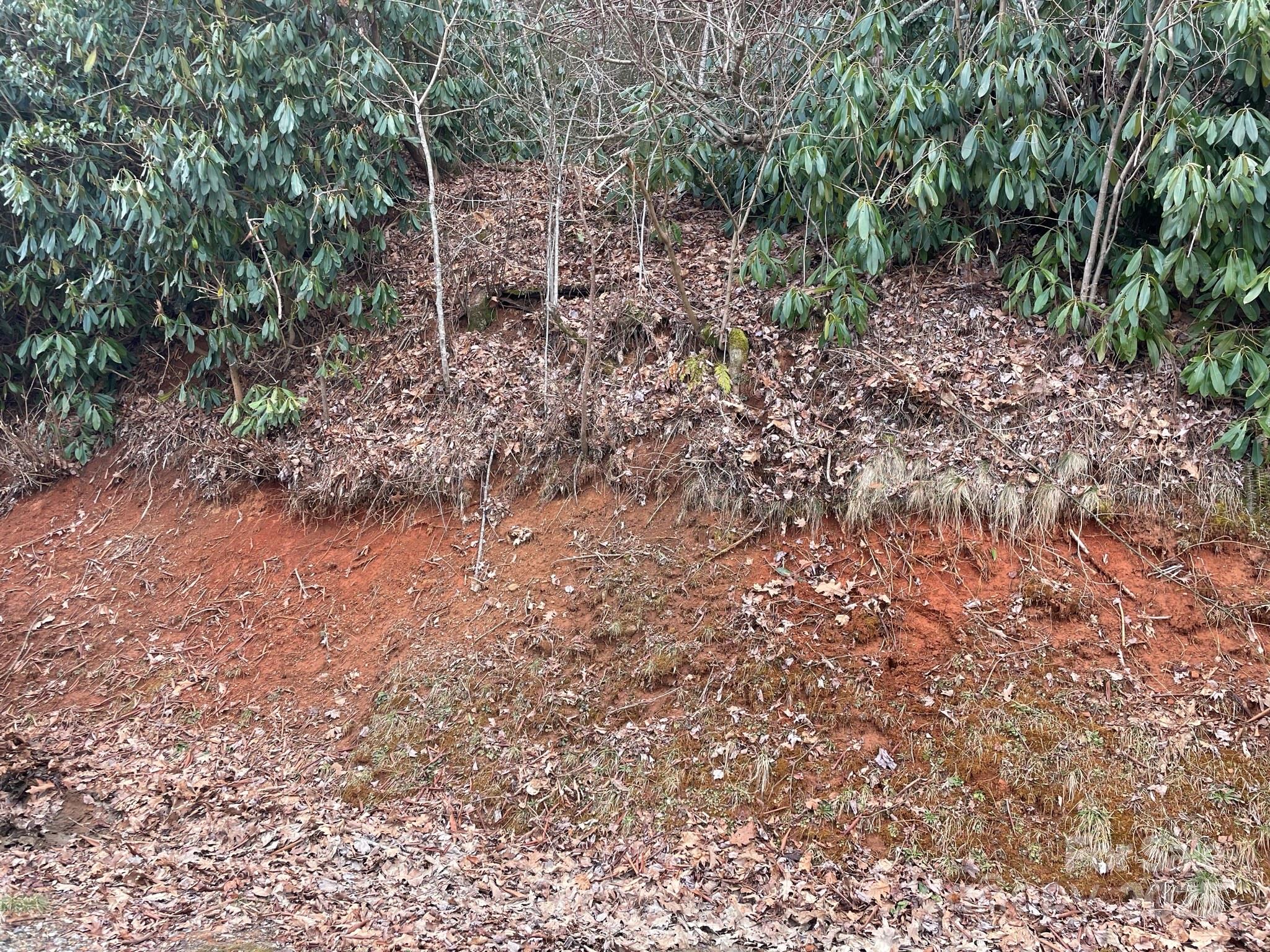 0 Gingercake Road Property Photo 13