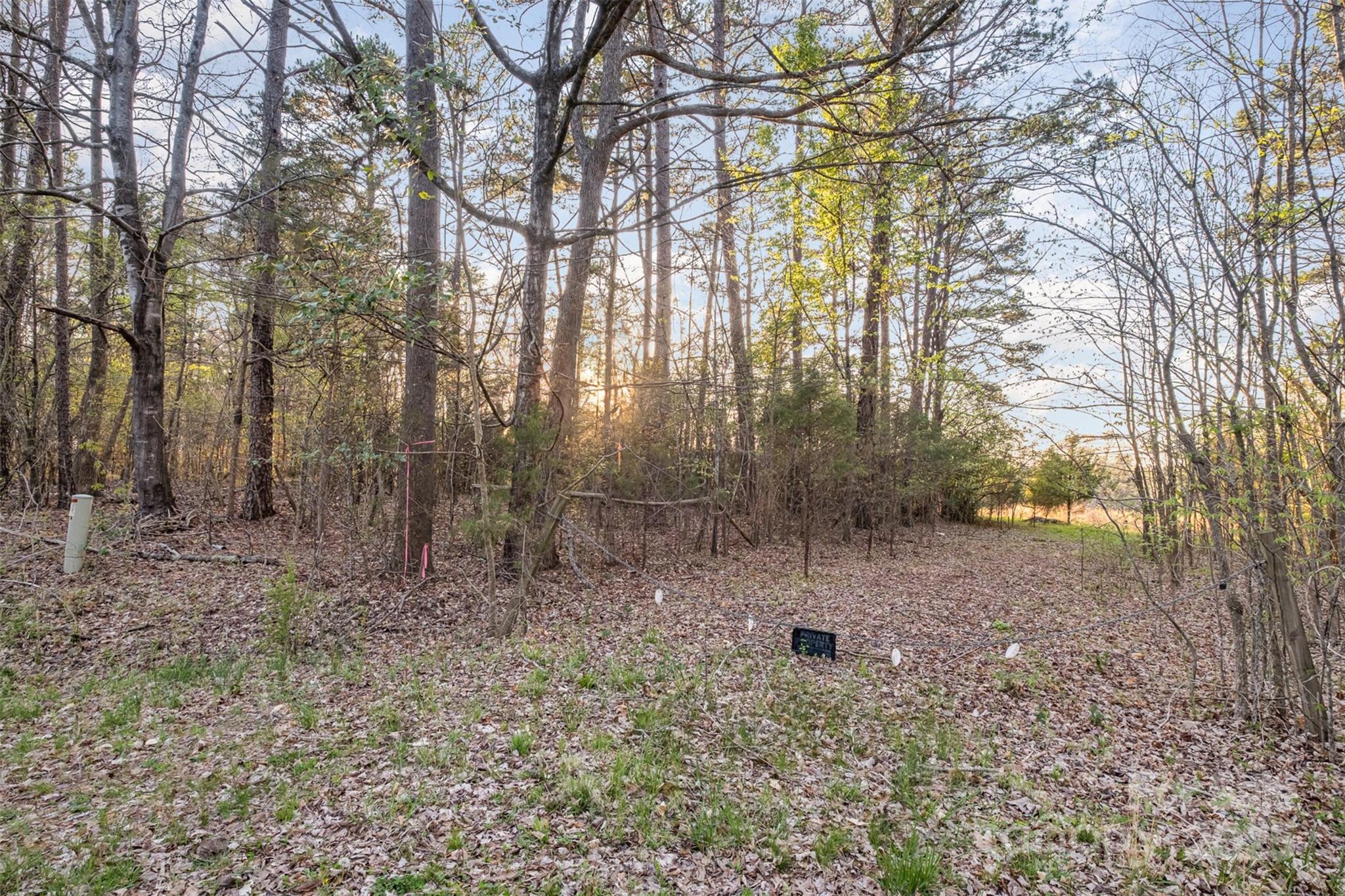 2628 Nc 49 Highway Property Photo 12