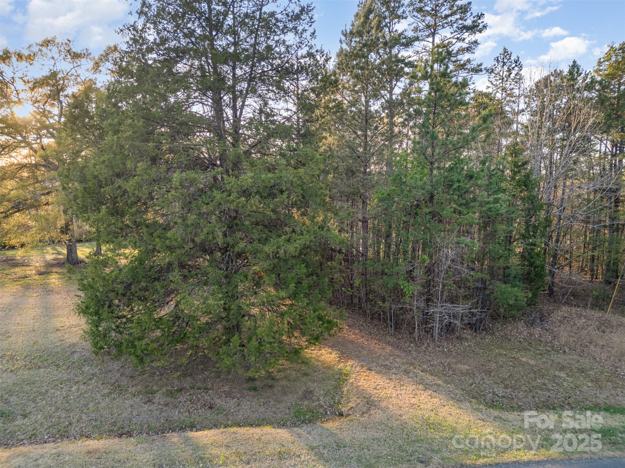 2628 Nc 49 Highway Property Photo 13