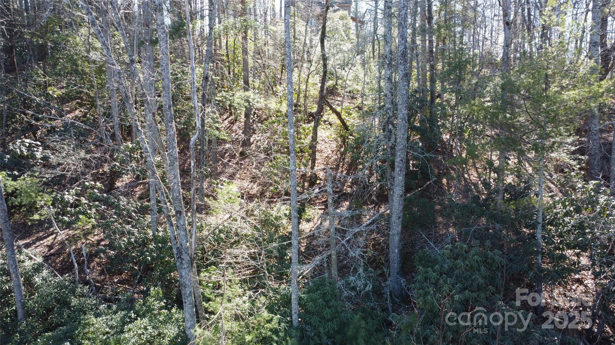 444 Dockside Drive 17a Property Photo 12