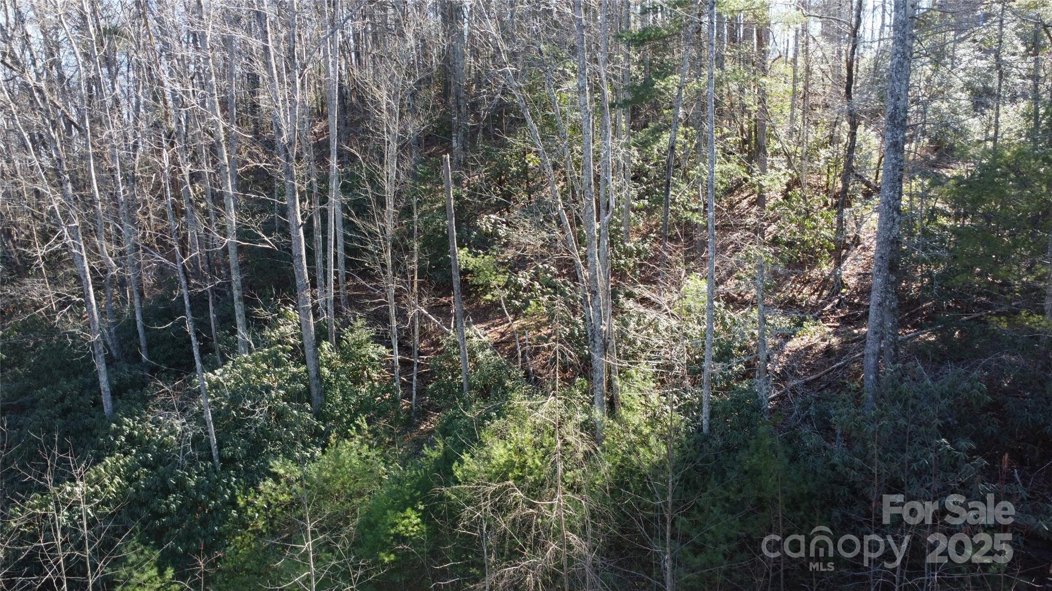 444 Dockside Drive 17a Property Photo 14