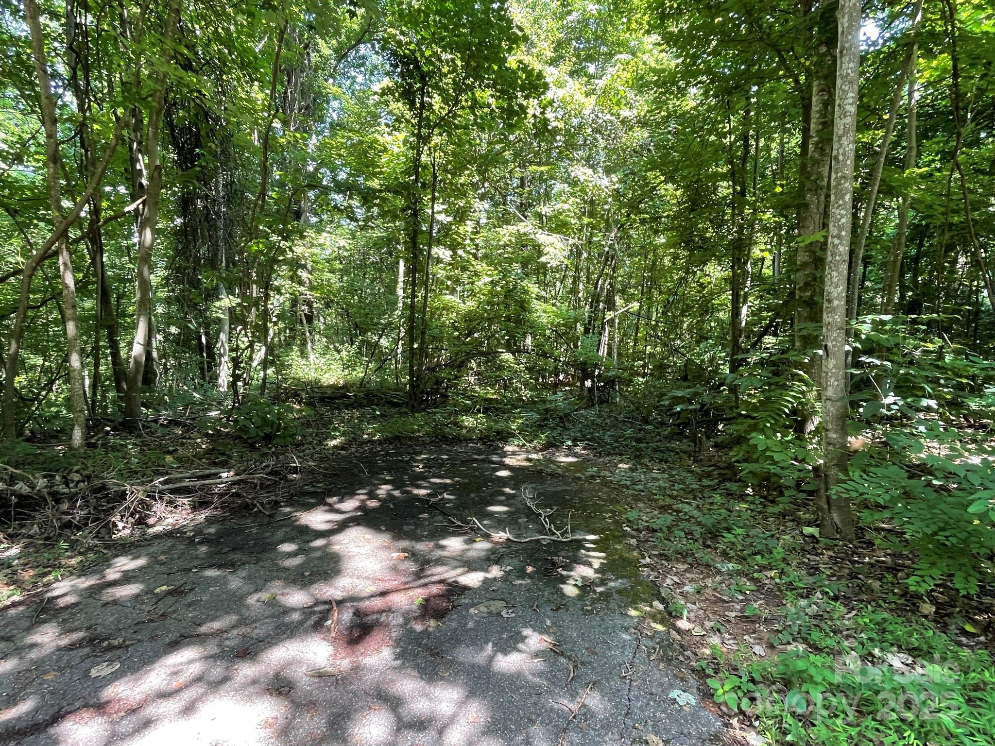 3287 Stones Throw Drive 3 Property Photo 5