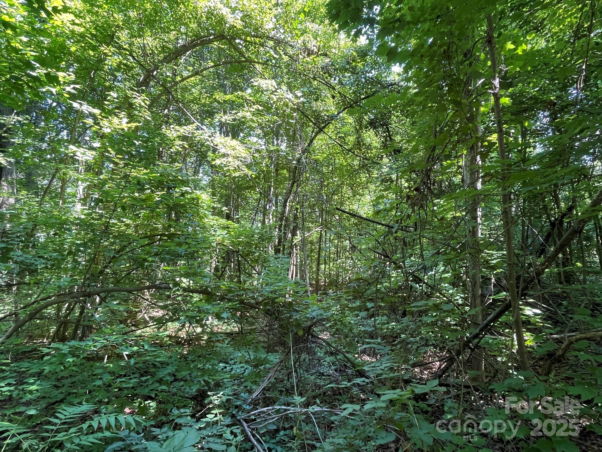 3287 Stones Throw Drive 3 Property Photo 6