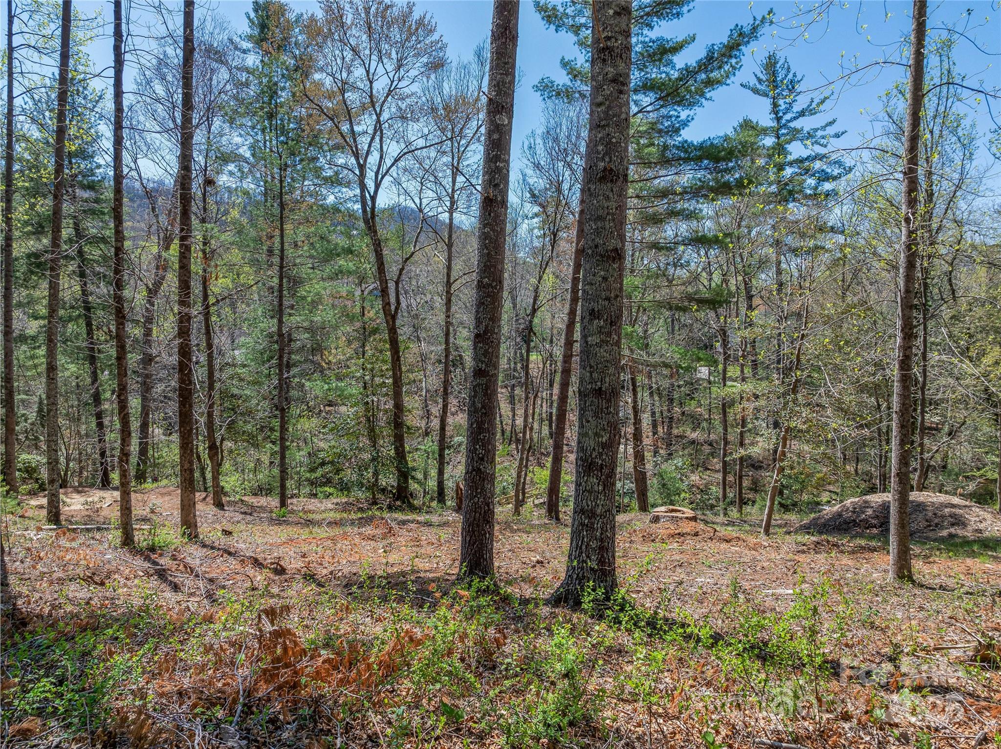 99999 Running Creek Trail Property Photo 2