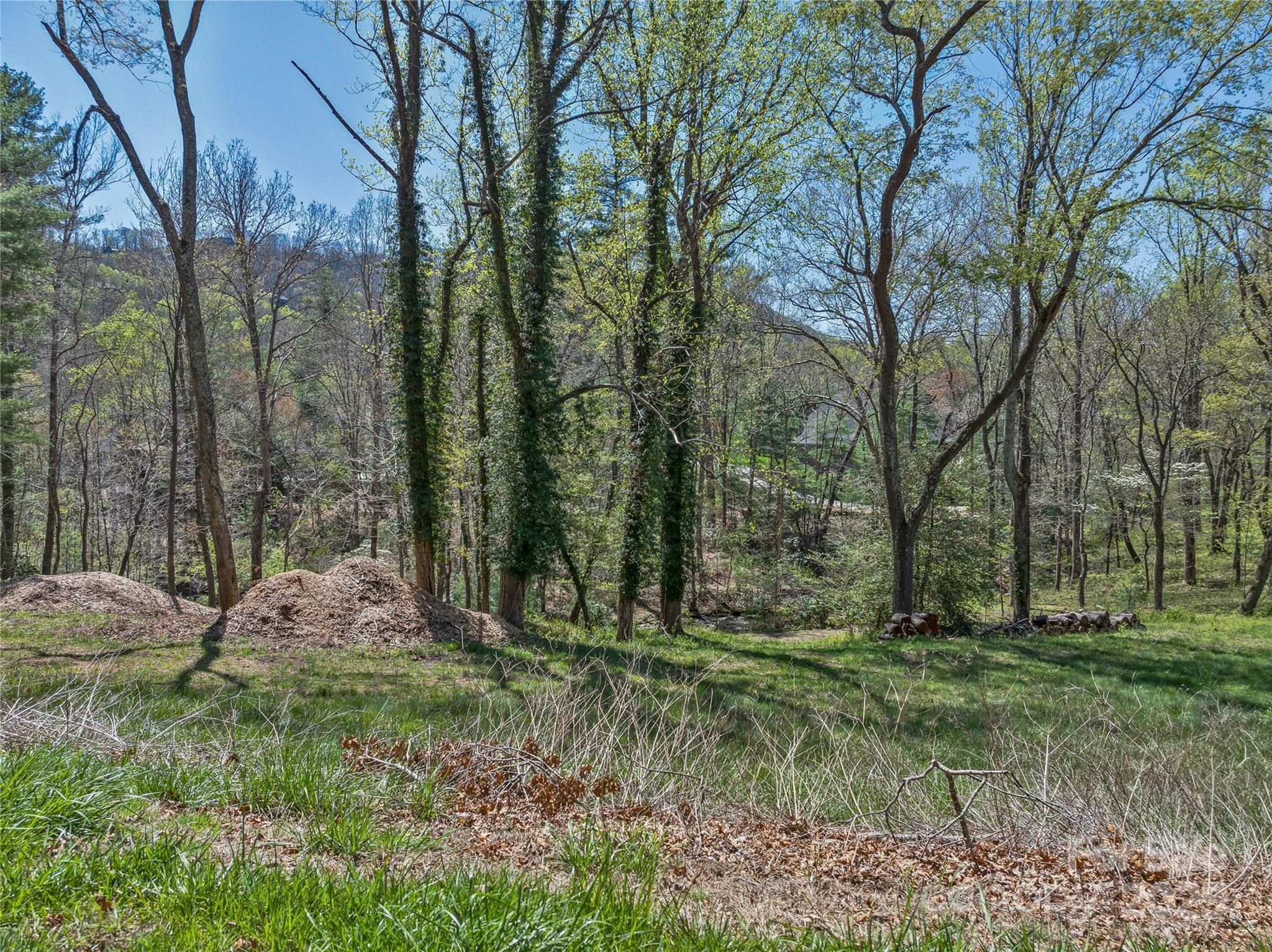 99999 Running Creek Trail Property Photo 3