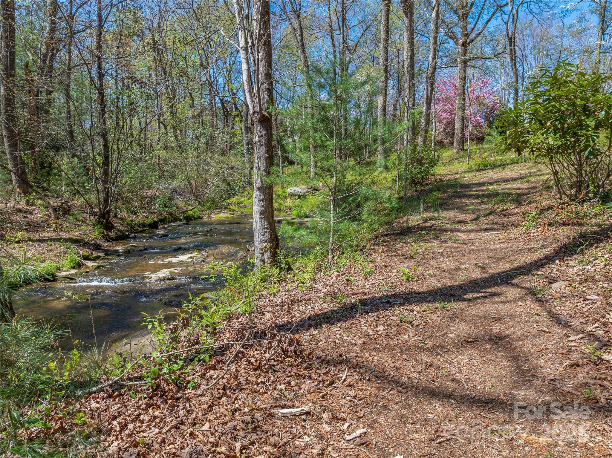 99999 Running Creek Trail Property Photo 4