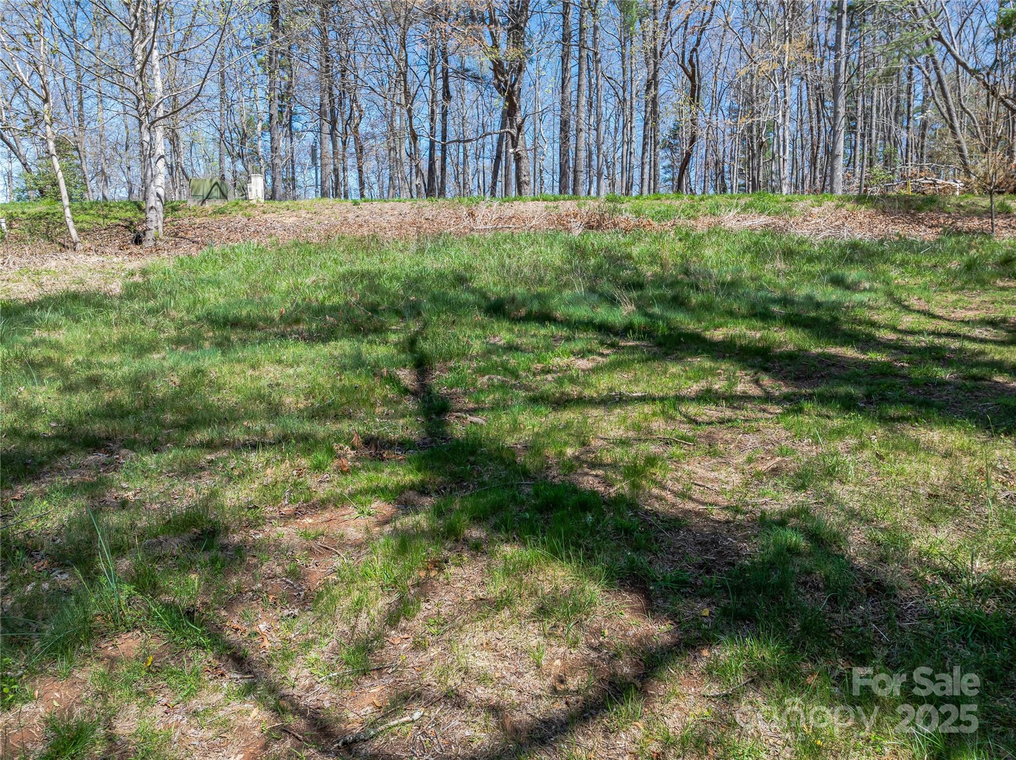 99999 Running Creek Trail Property Photo 5