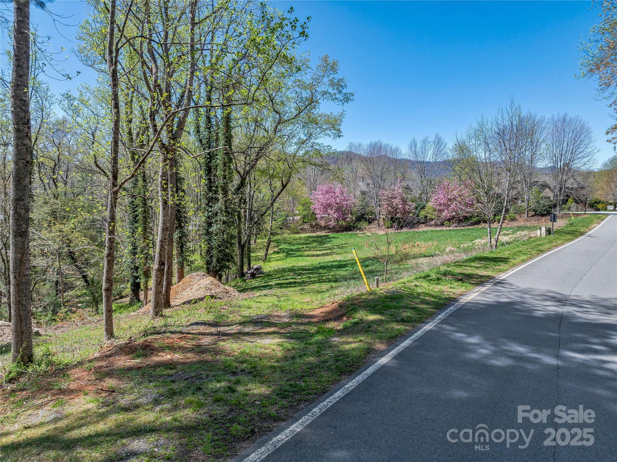 99999 Running Creek Trail Property Photo 8