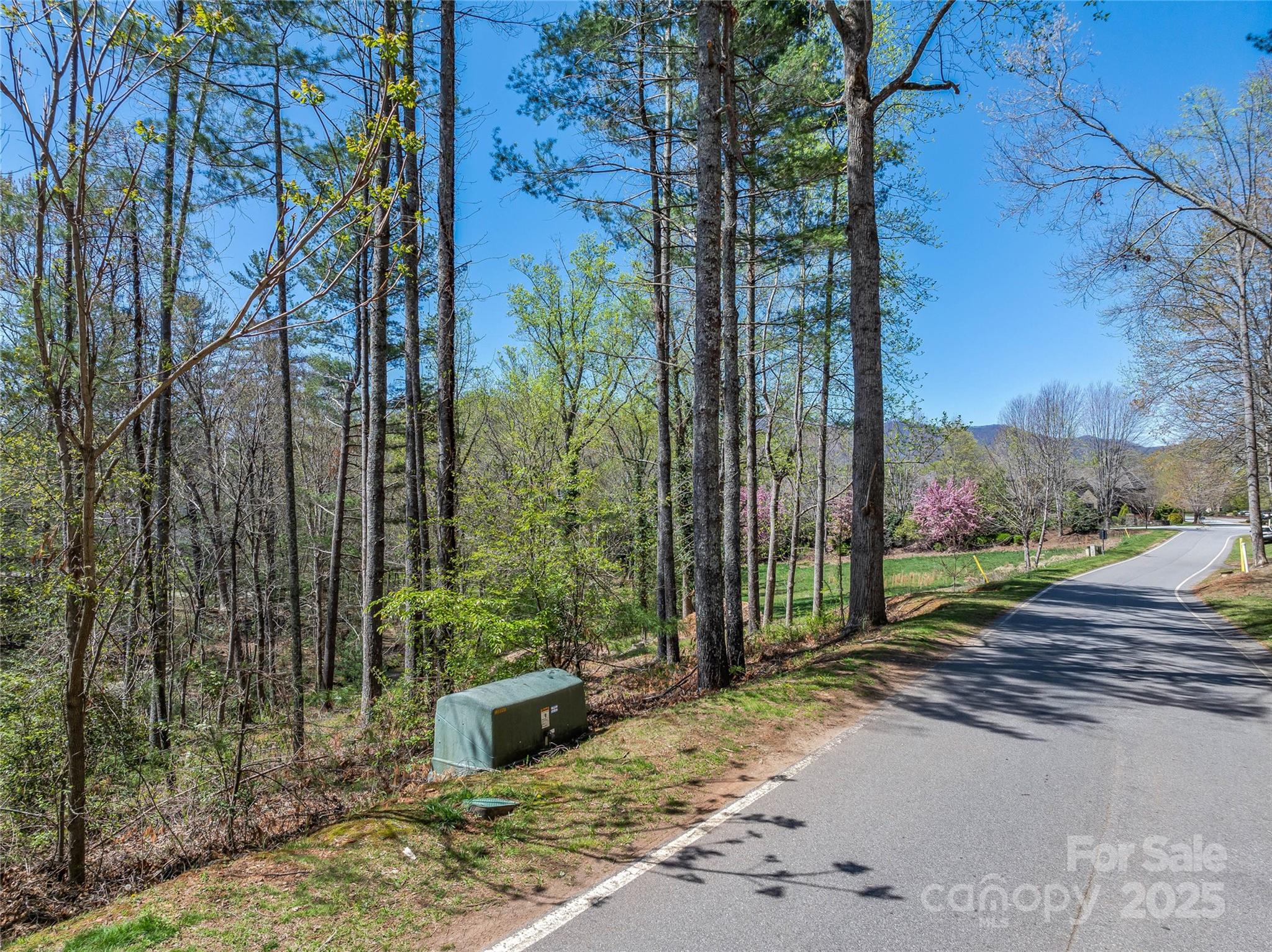 99999 Running Creek Trail Property Photo 11