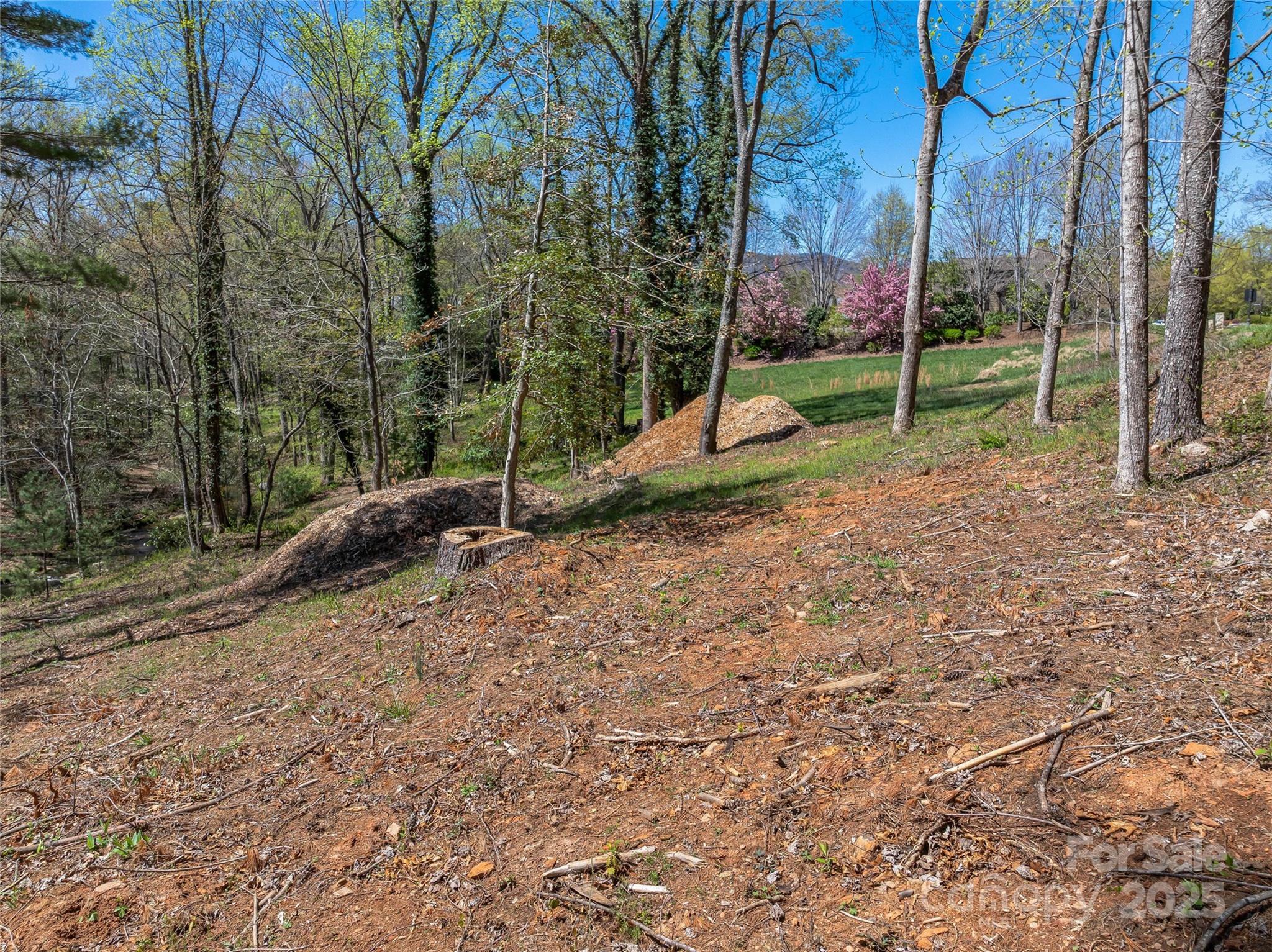 99999 Running Creek Trail Property Photo 15