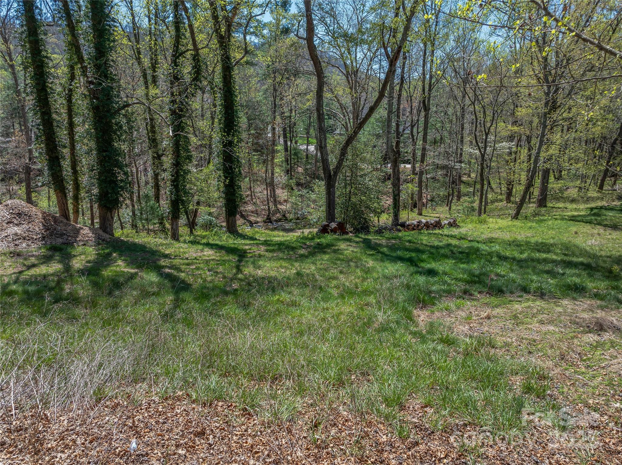 99999 Running Creek Trail Property Photo 21